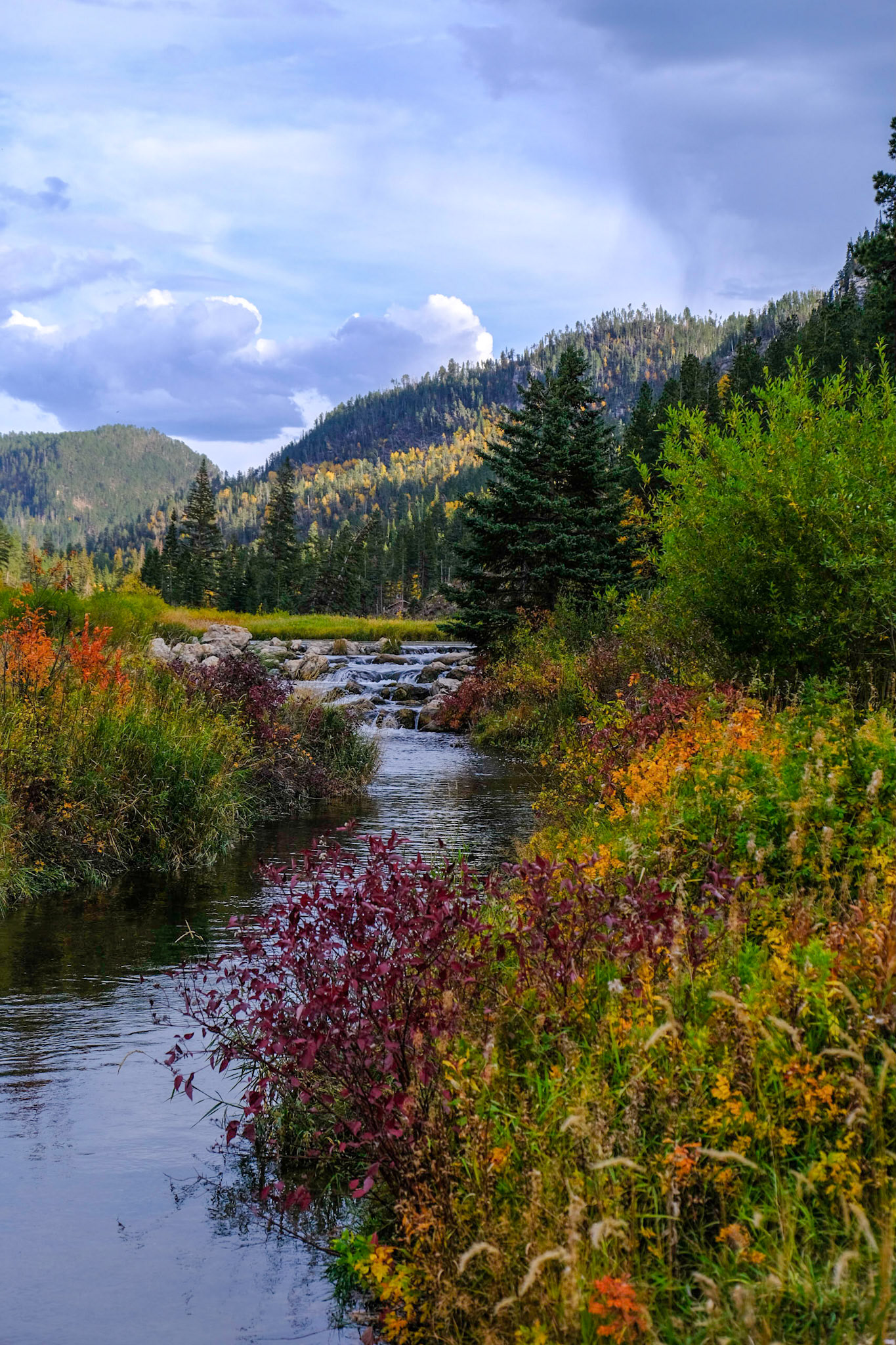 Spearfish Canyon Savoy Trail