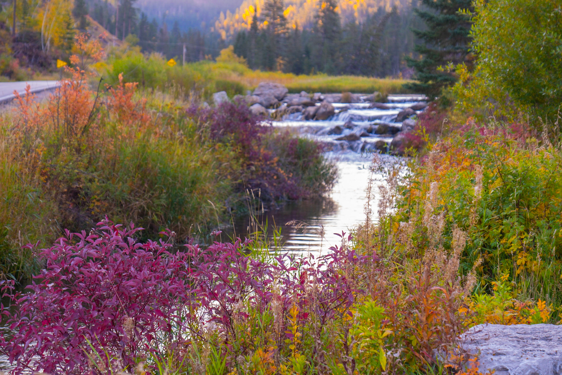Savoy Nature Trail Spearfish Canyon