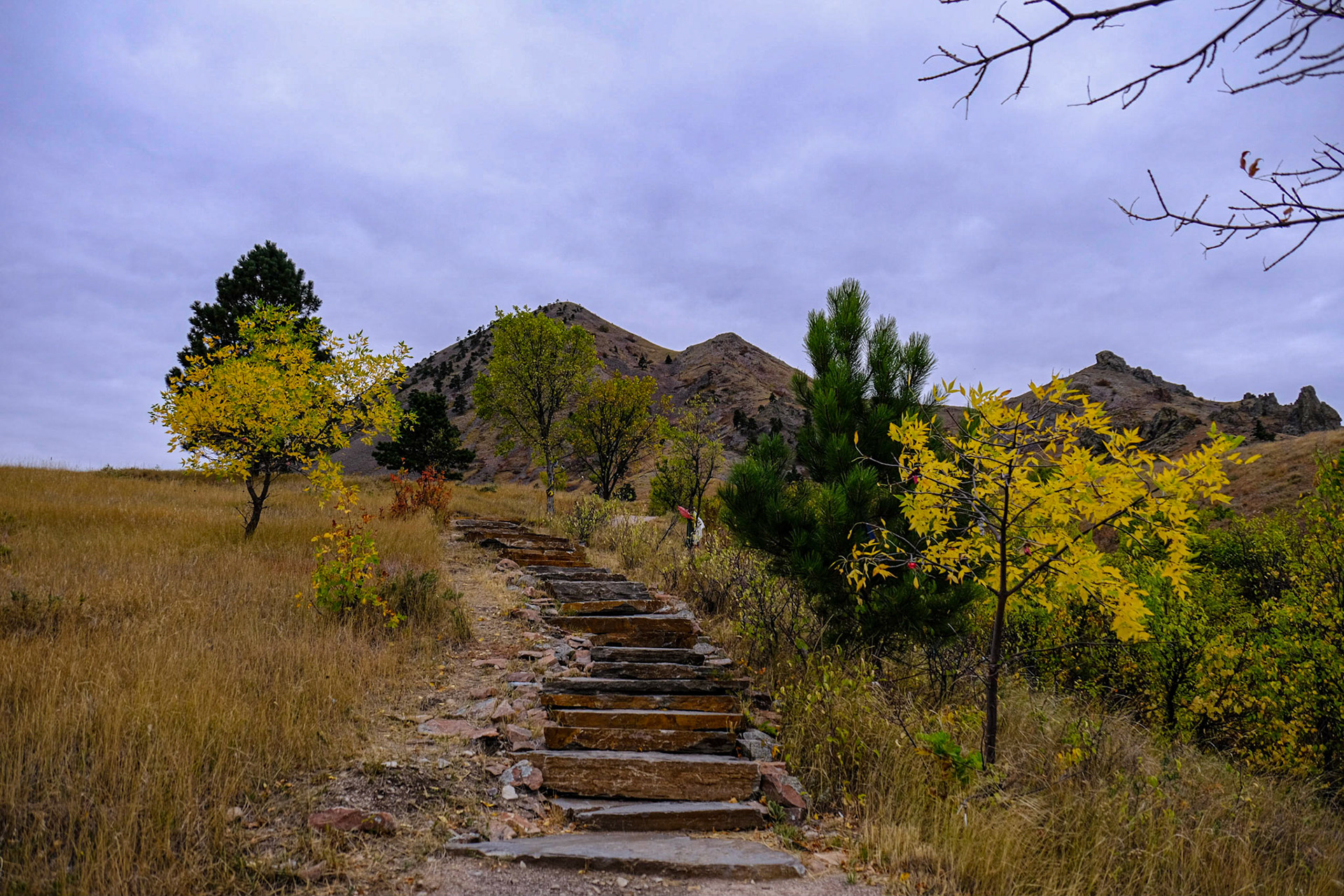 Bear Butte State Park South Dakota