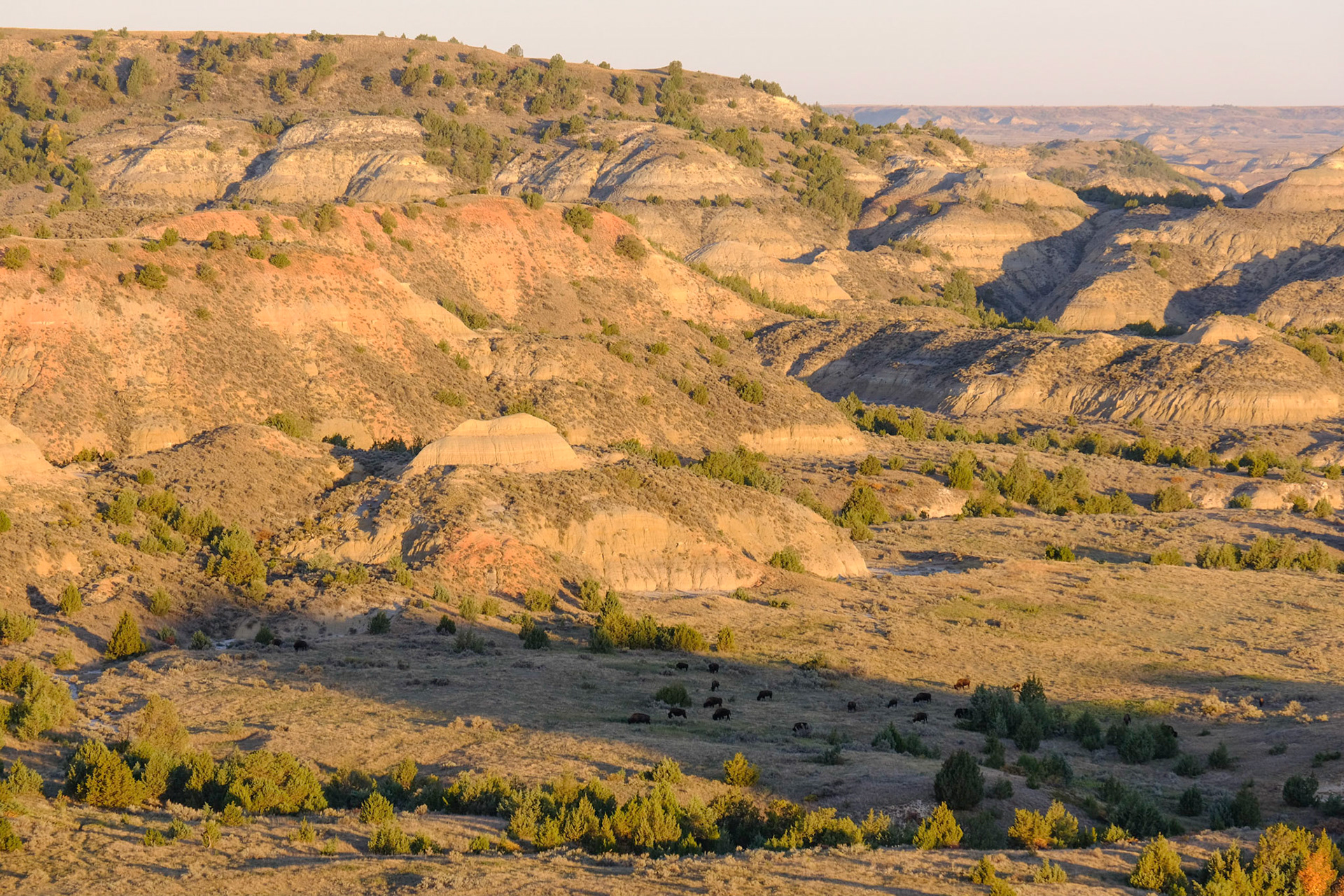 Painted Canyon