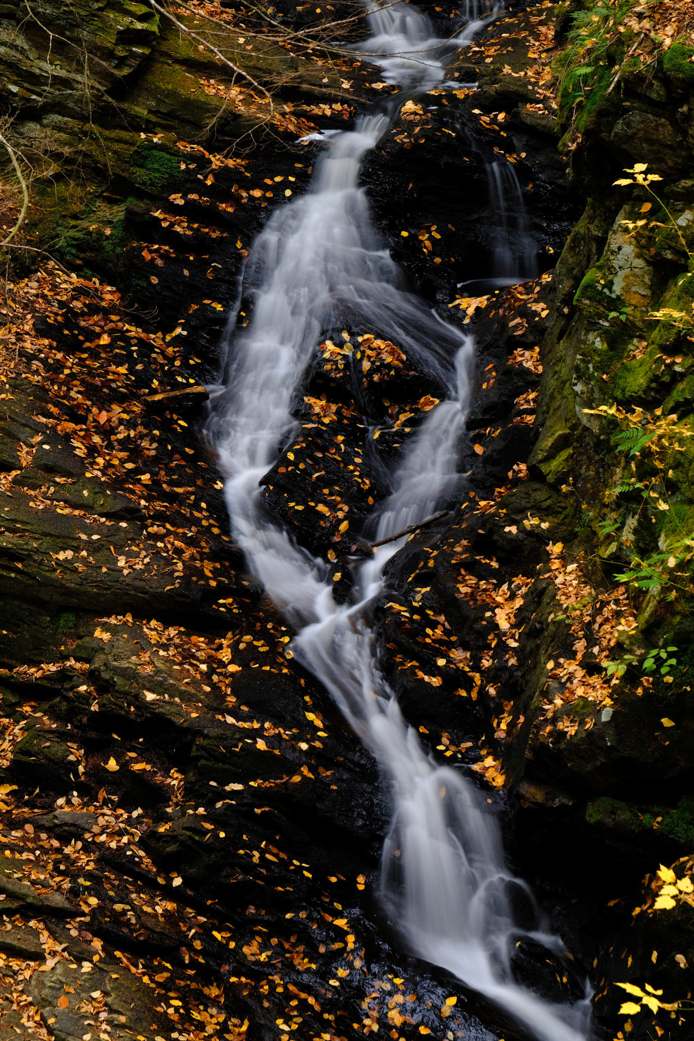 Chesterfield Gorge State Wayside