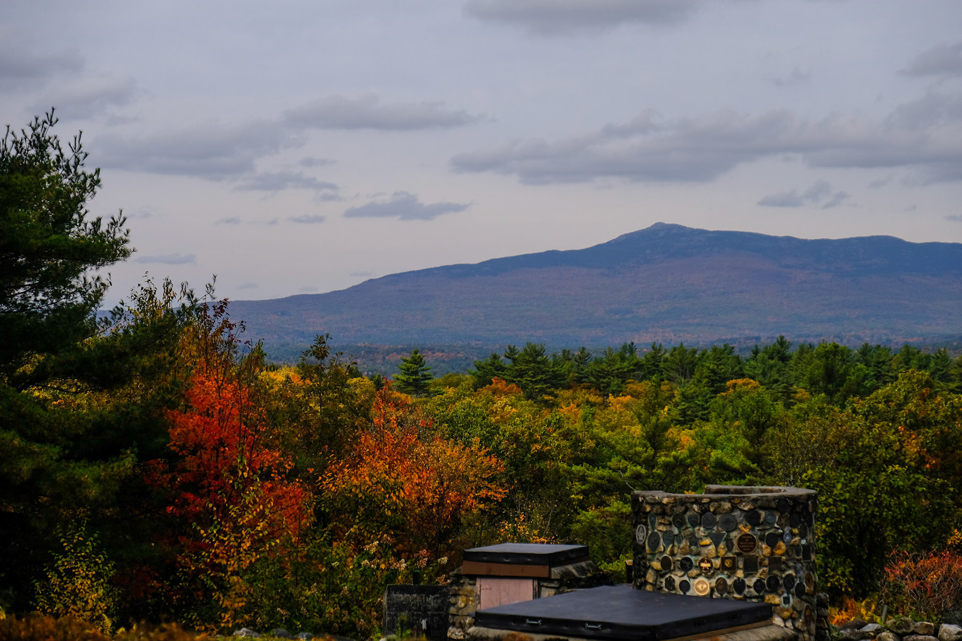 Cathedral of the Pines
