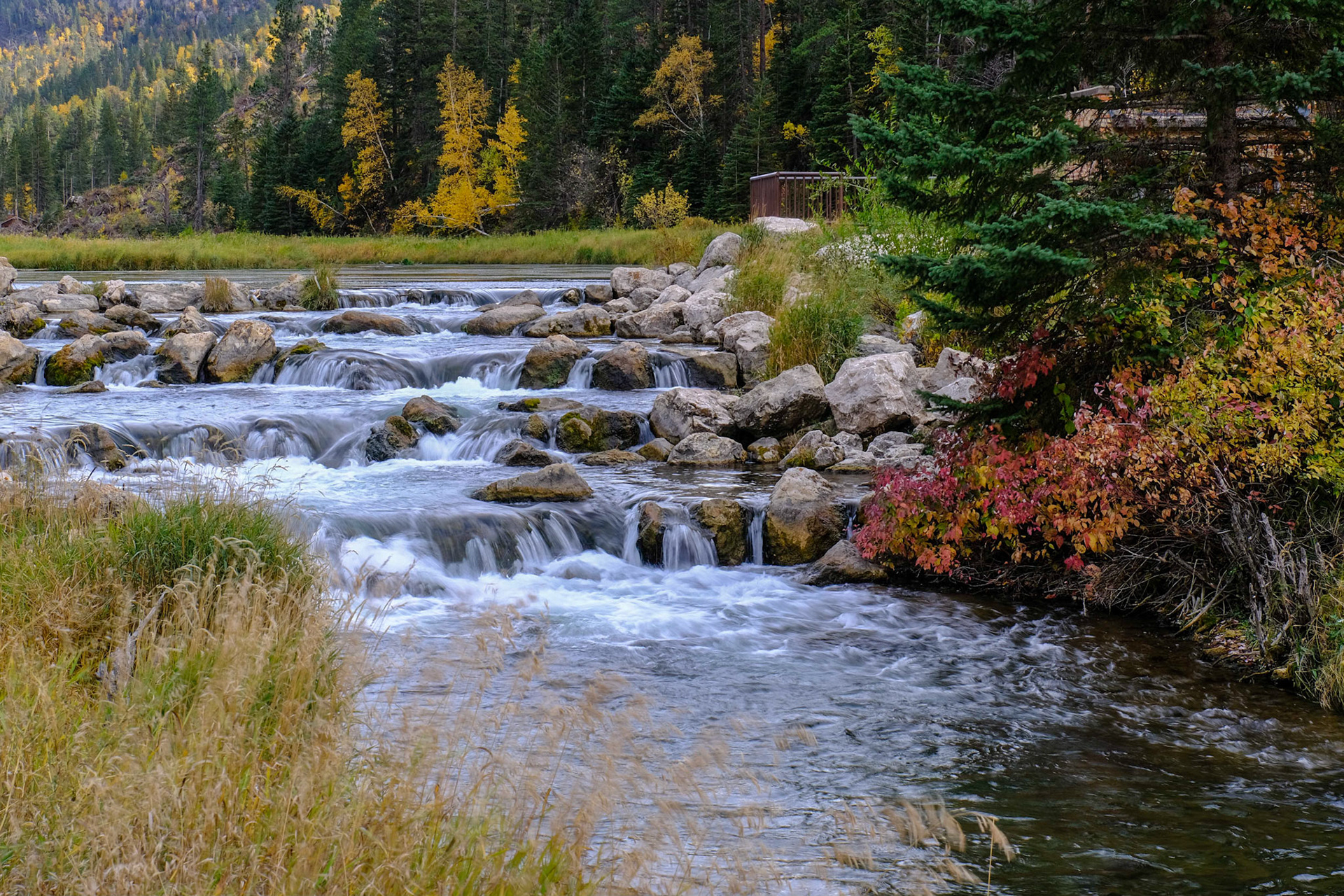 Spearfish Canyon Savoy Trail