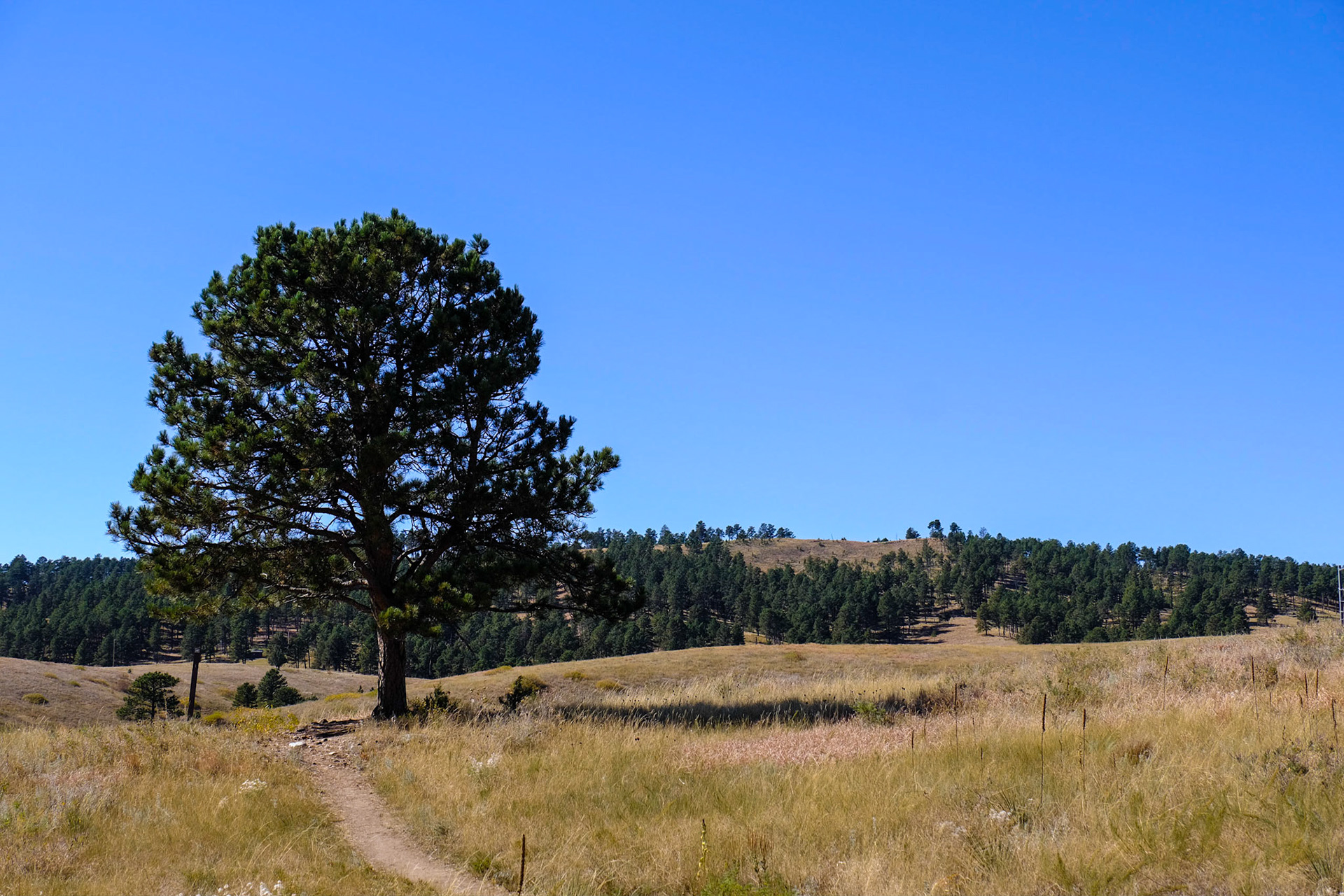 Wind Cave National Park