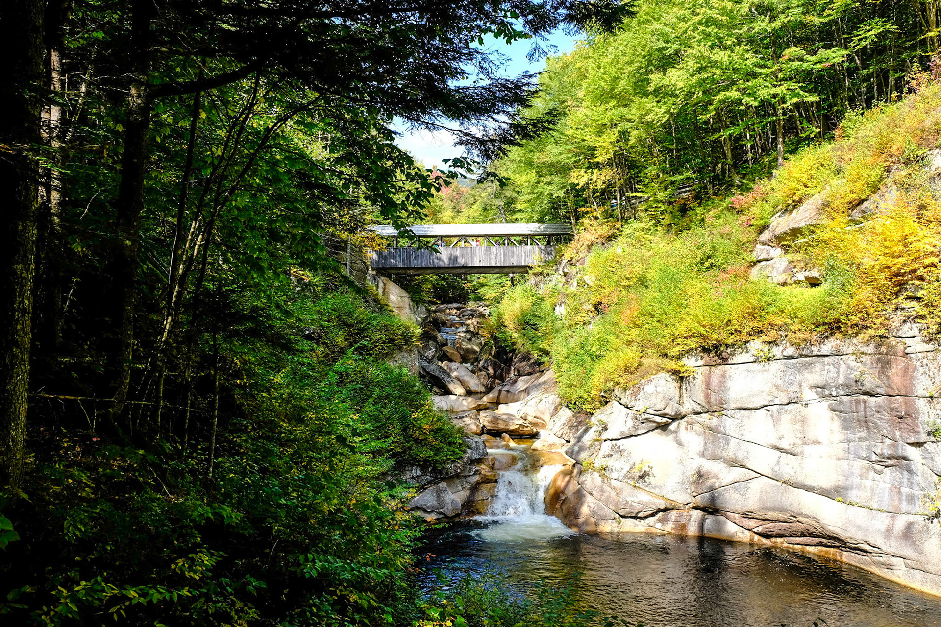 Sentinel Pine Bridge and Pool