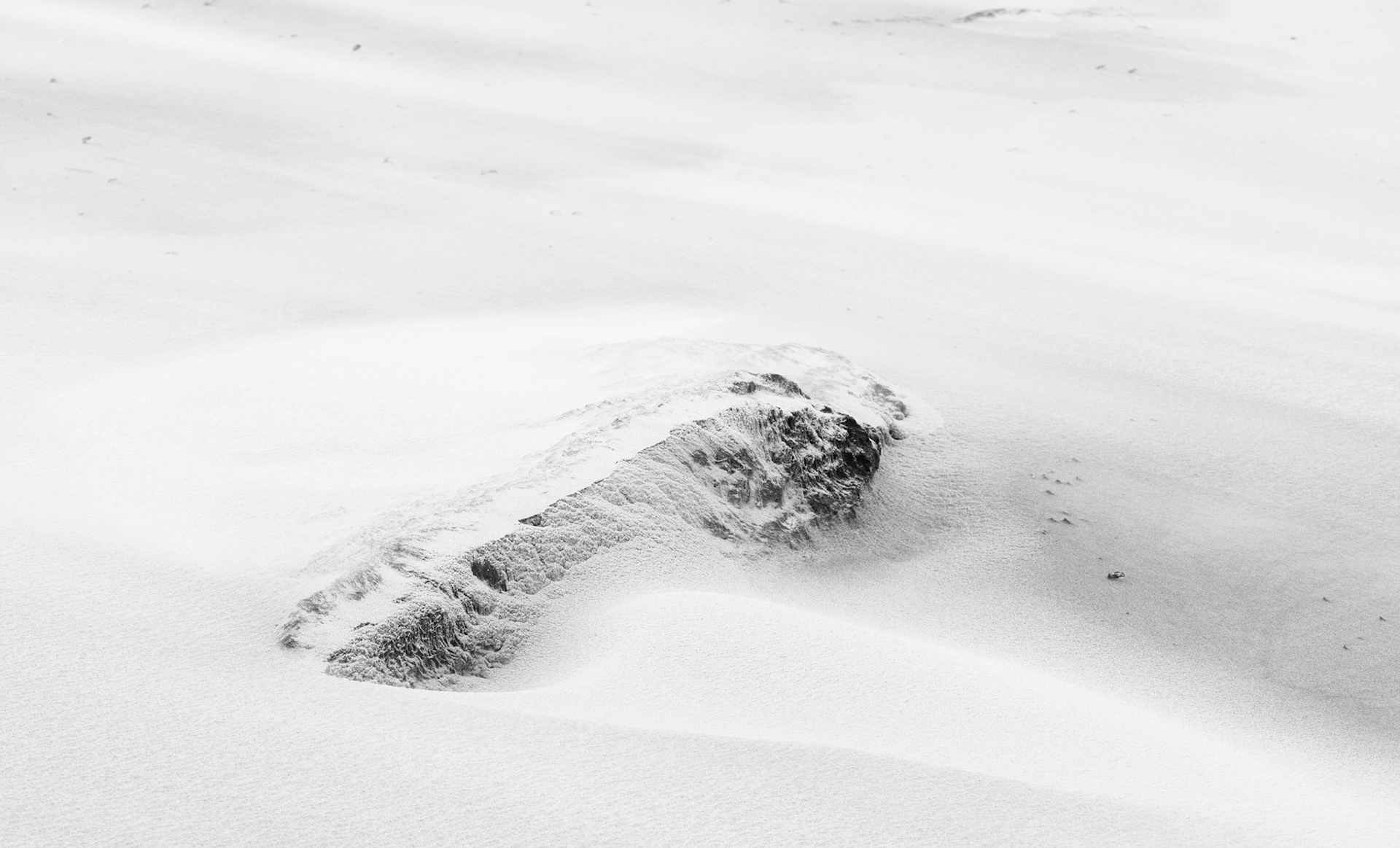 Grains sur les Hauts 1.0