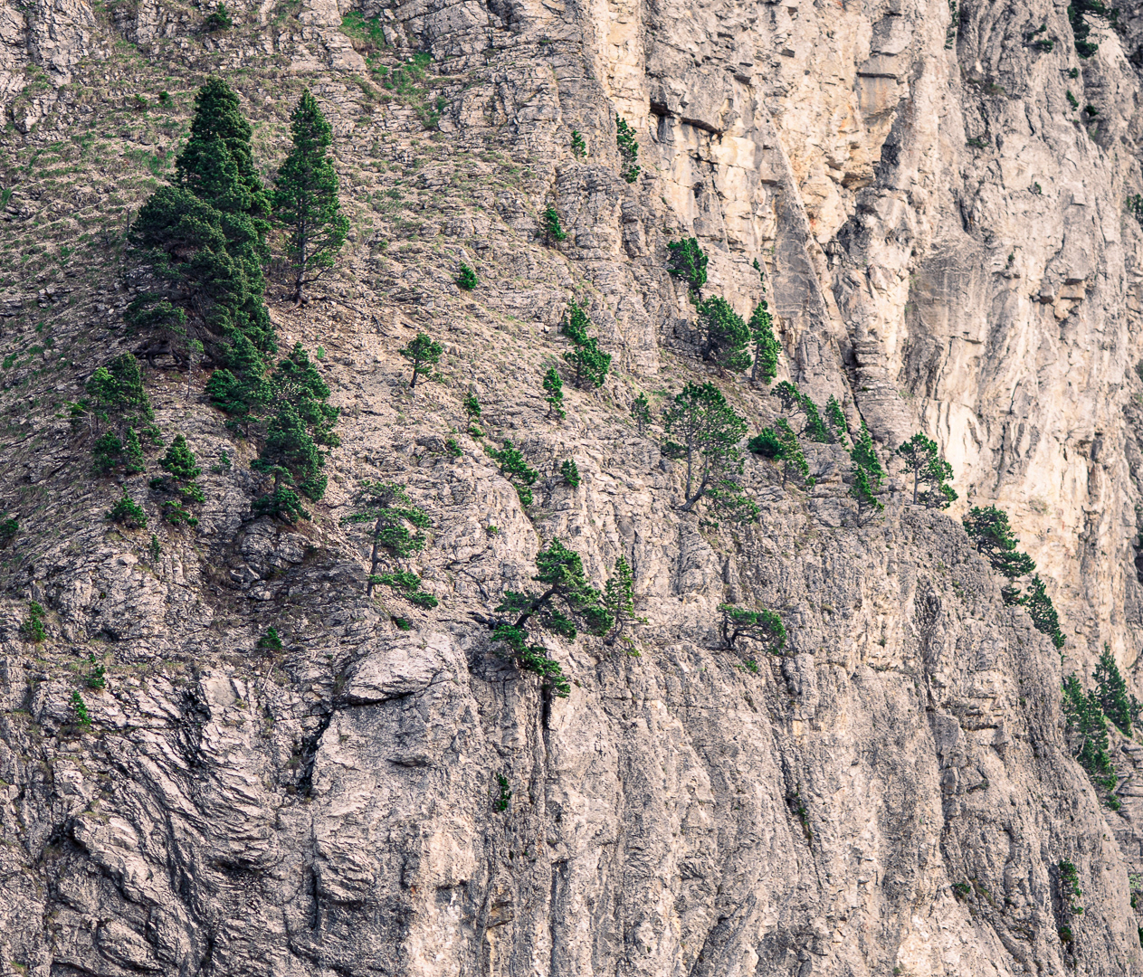 La colonne des Nu-pieds v1.1