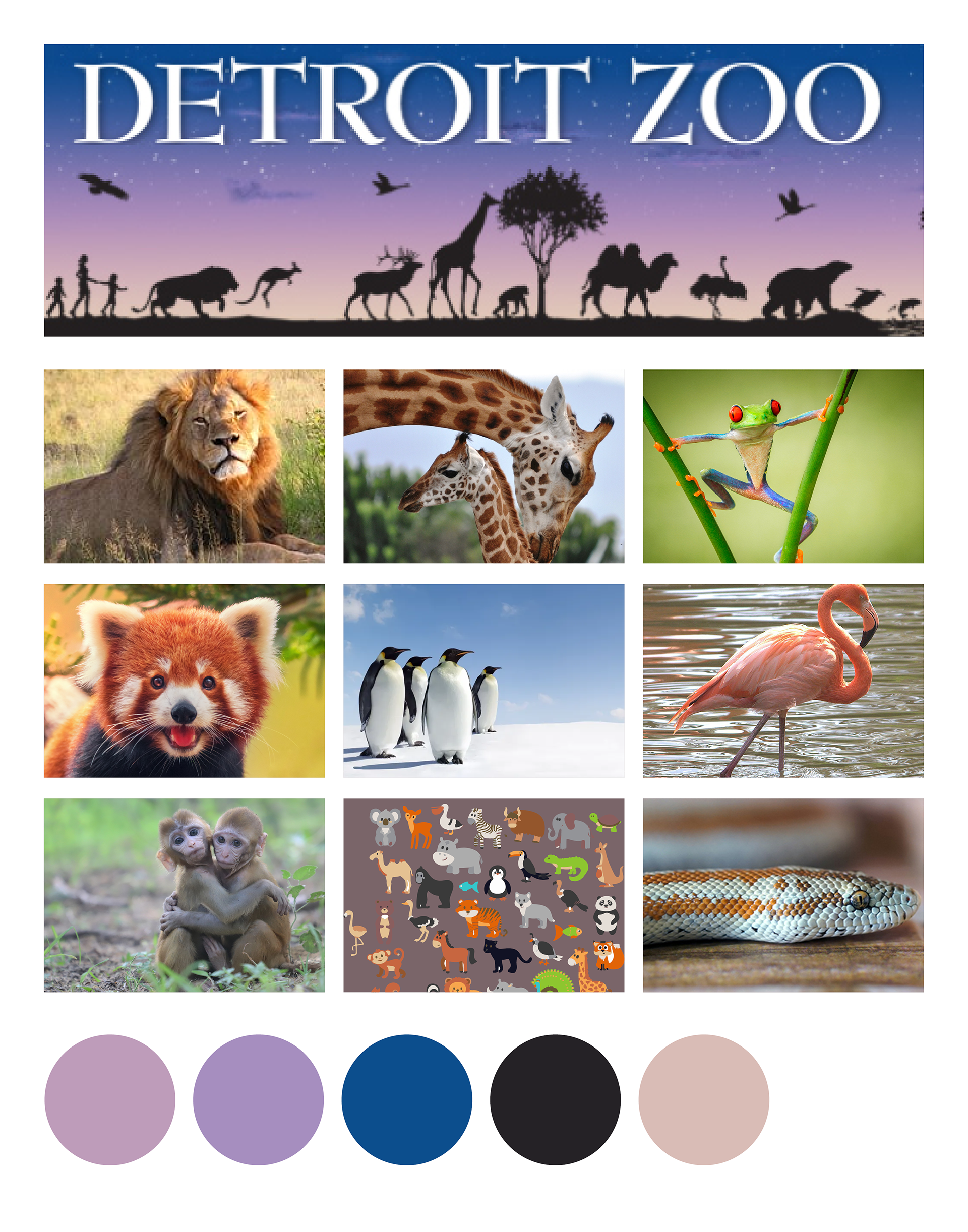 Mood Board
