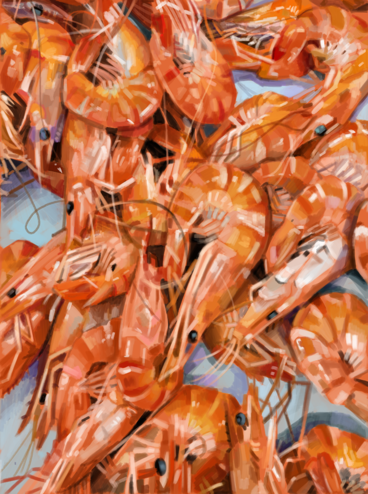 Shrimp