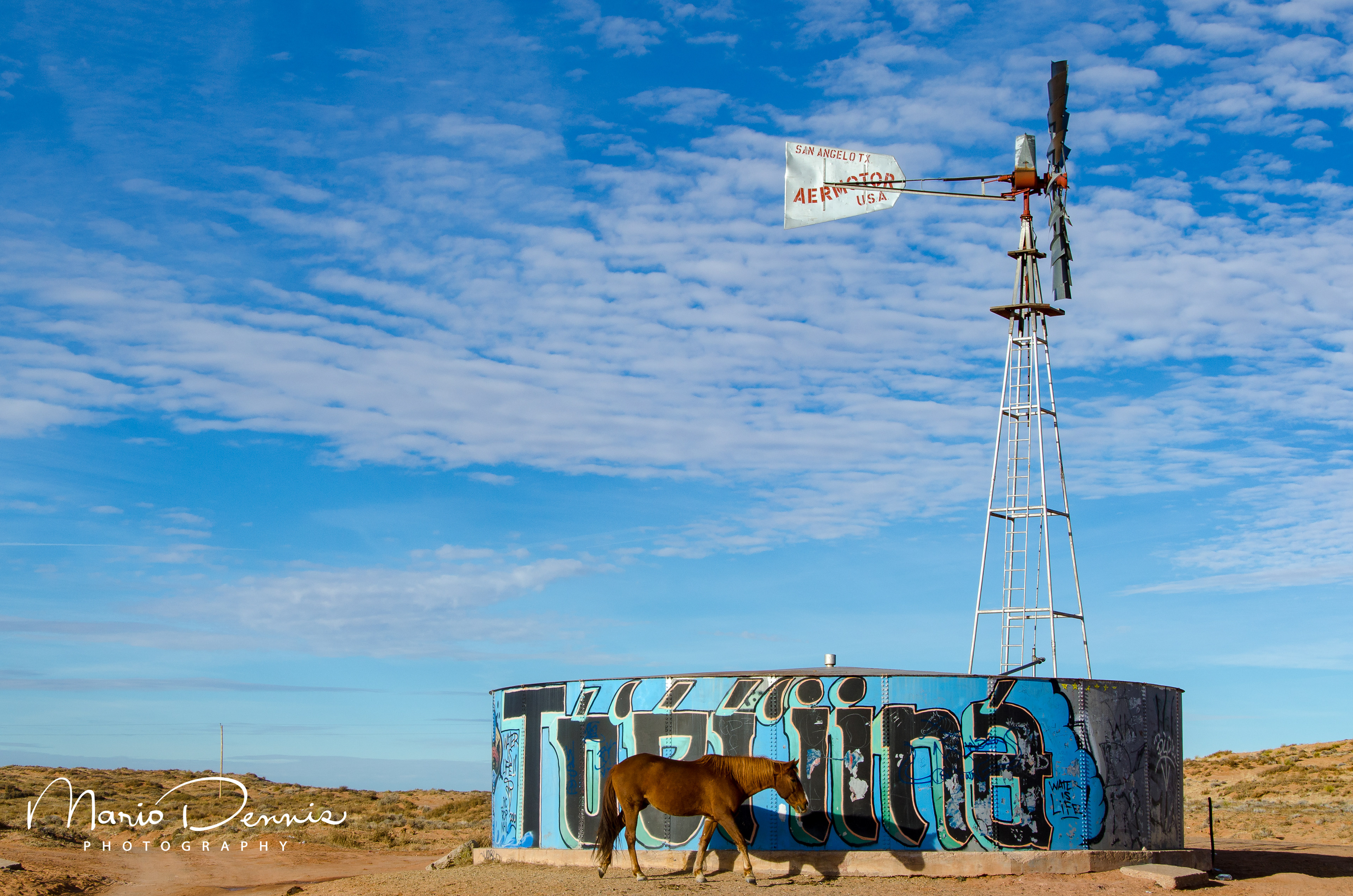 Tonolea, AZ