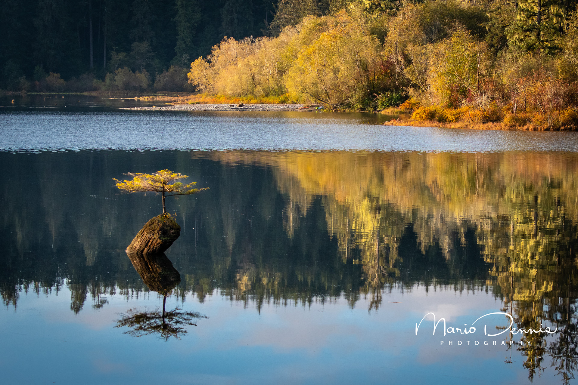 Fairy Lake, Vancouver, BC