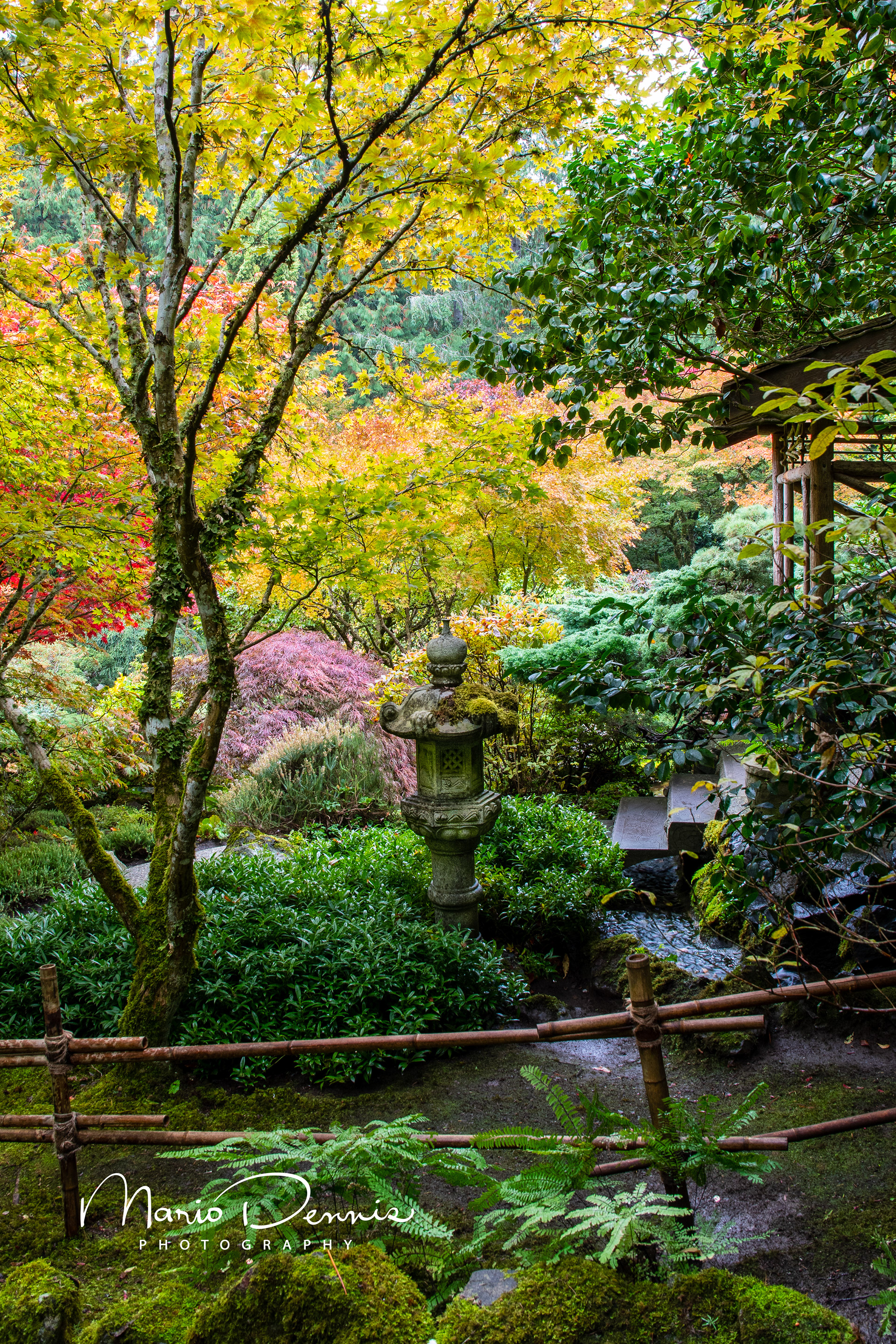 Butchart Gardens, Victoria, BC