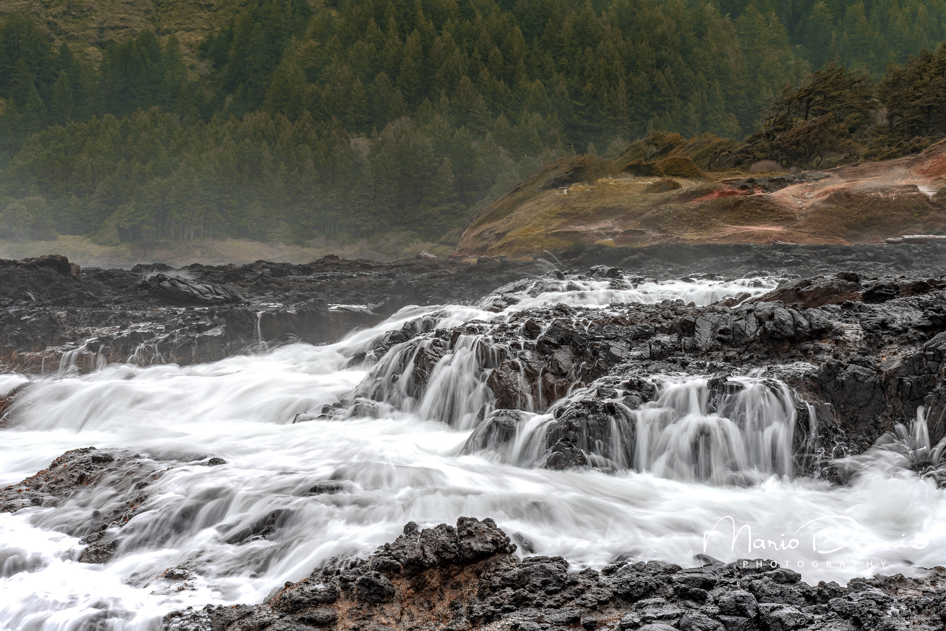 Cape Perpetua, OR