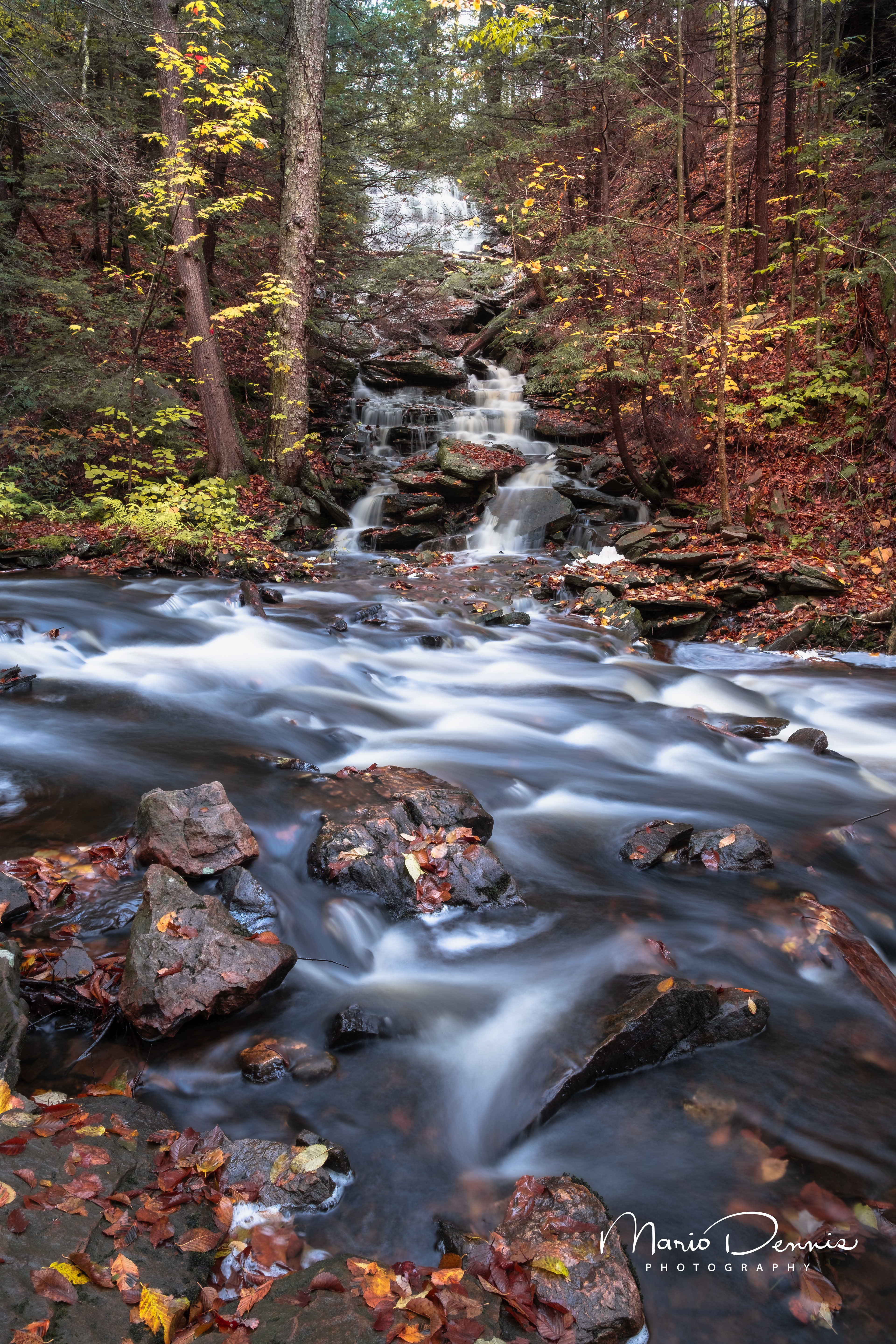 Rickett's Glen, PA