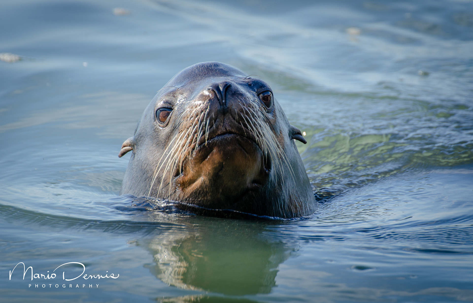 Moss Landing, CA