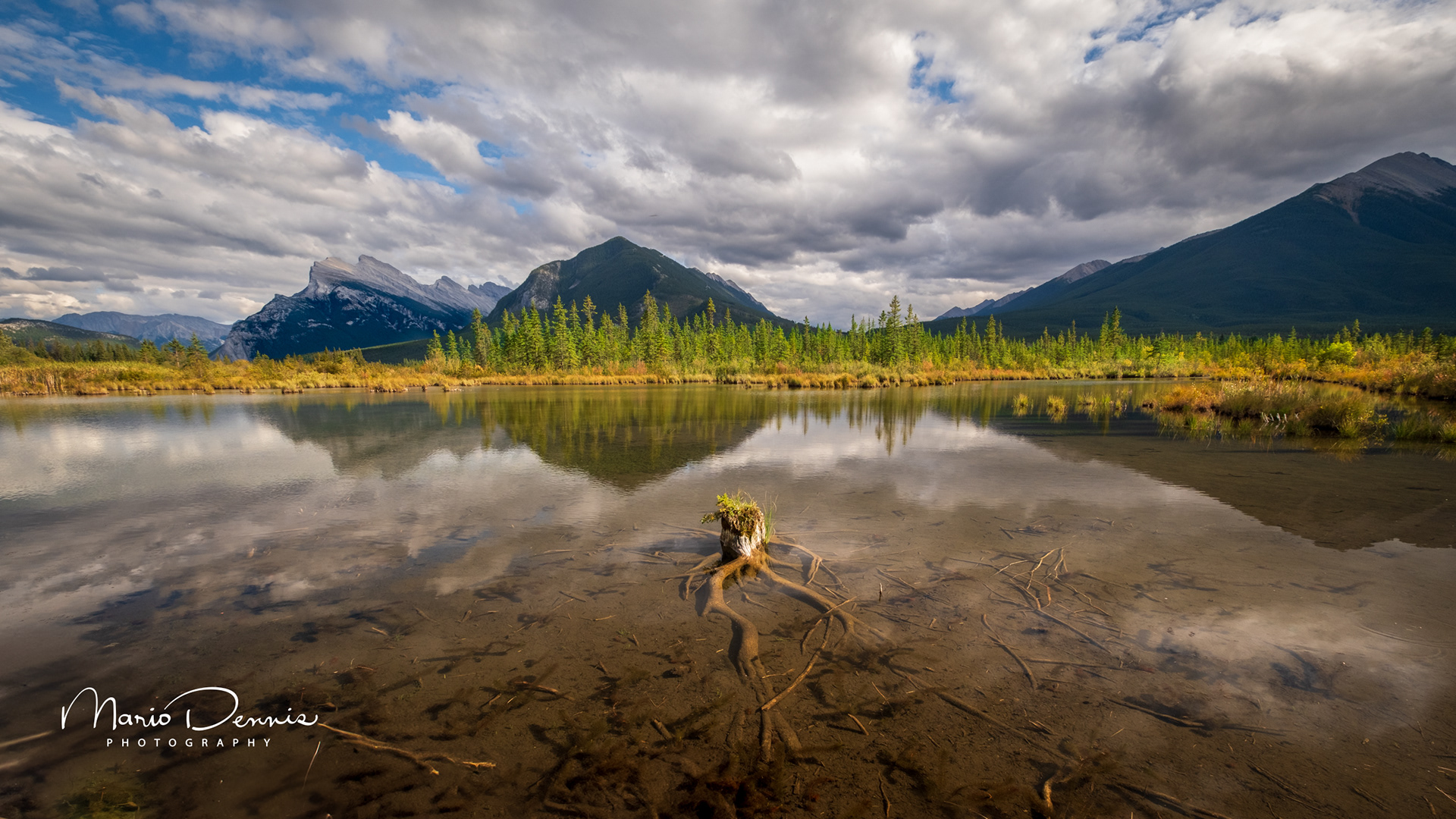 Mt. Rundle from Vermilion Lakes, Banff, AB