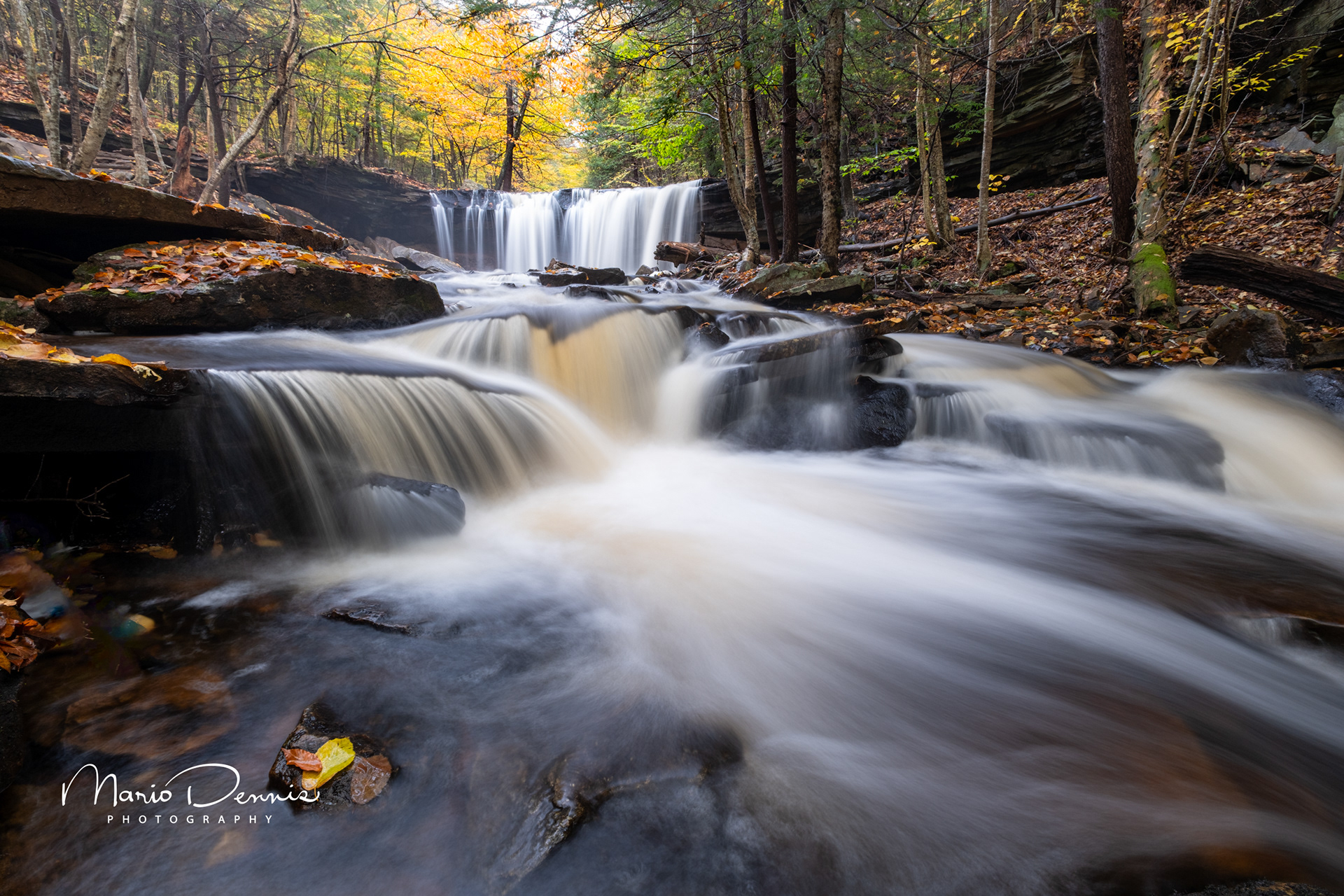 Rickett's Glen, PA
