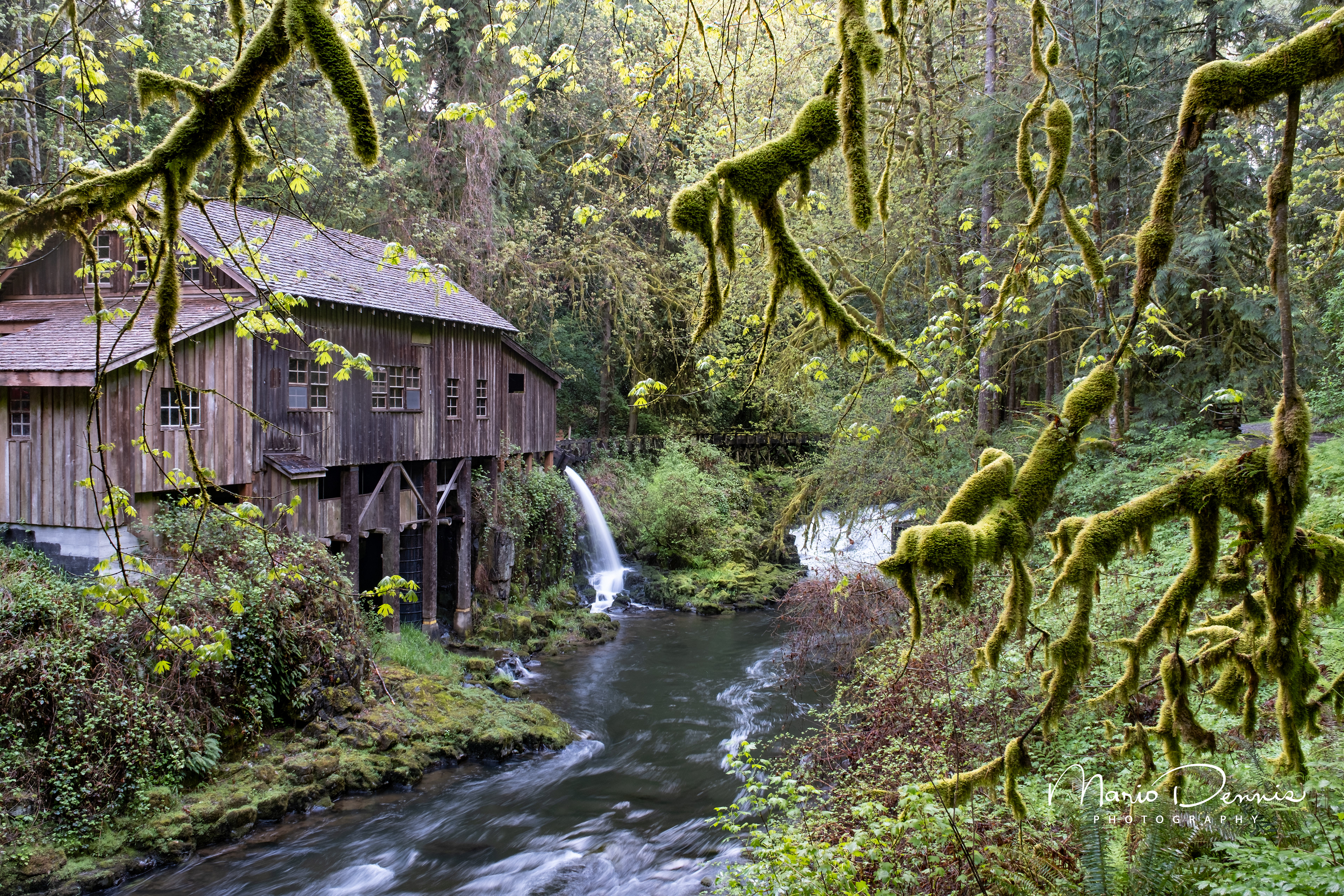 Cedar Creek Grist Mill, WA