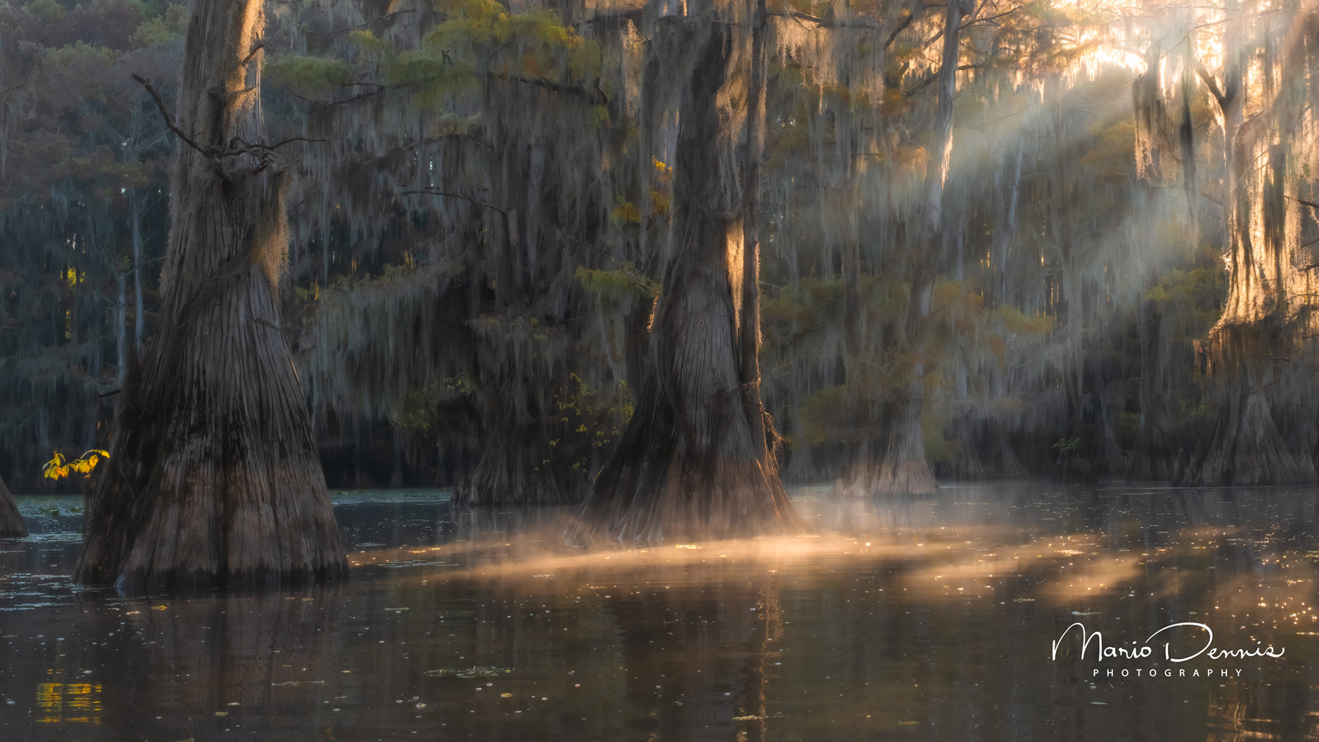 Caddo Lake, TX