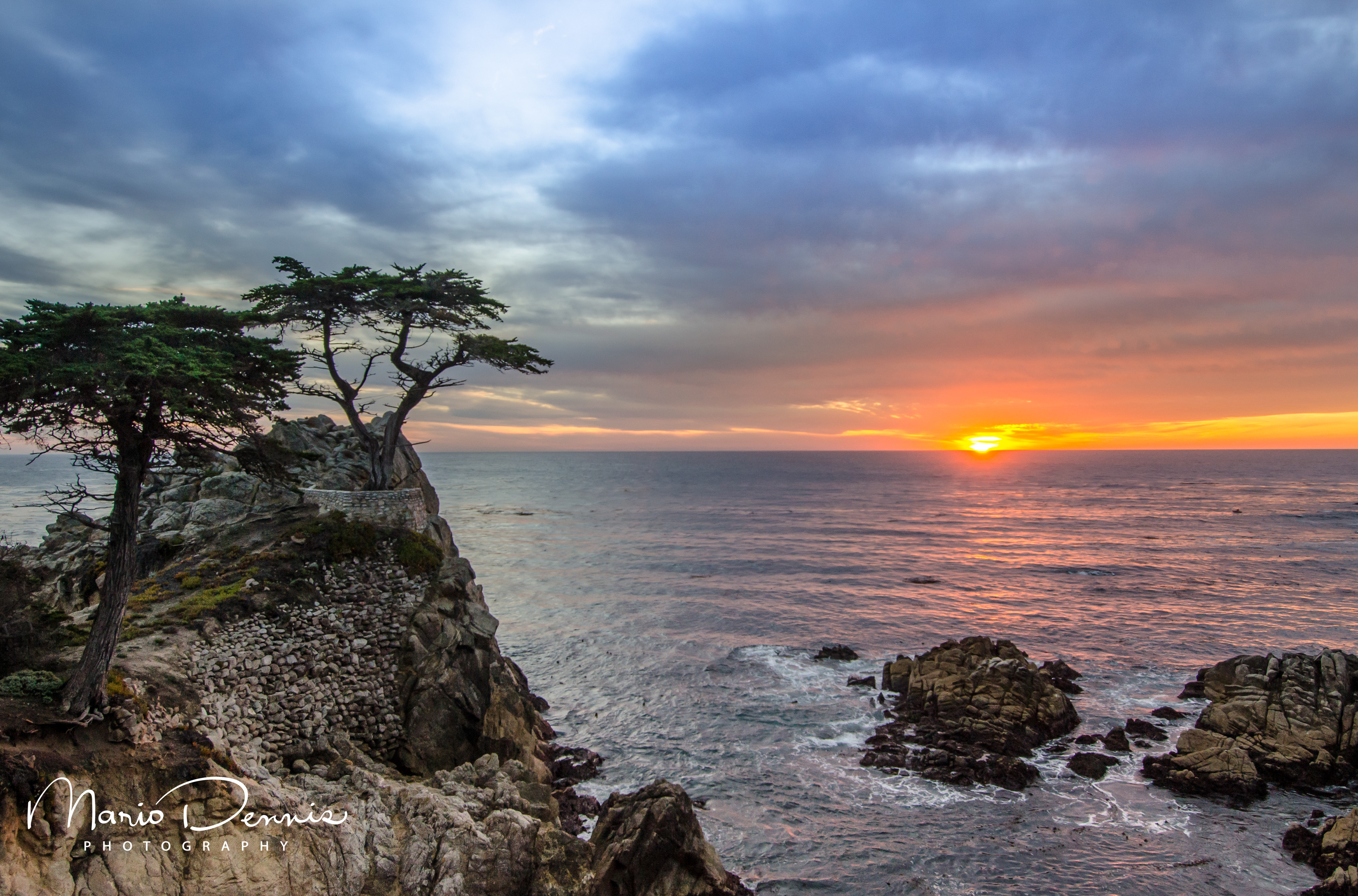 Lone Cypress, Monterey, CA