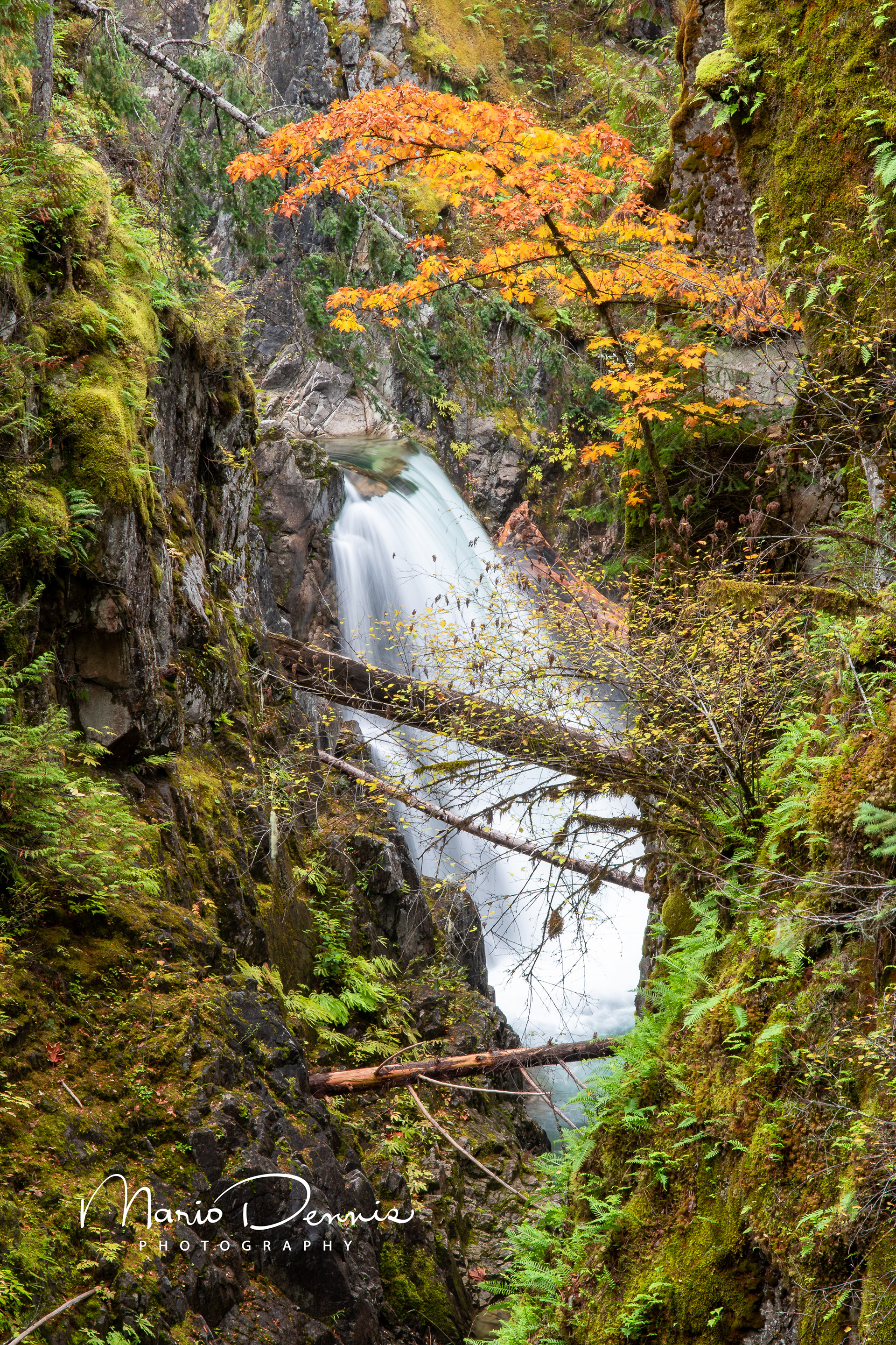 Little Qualicum Falls, Vancouver Island