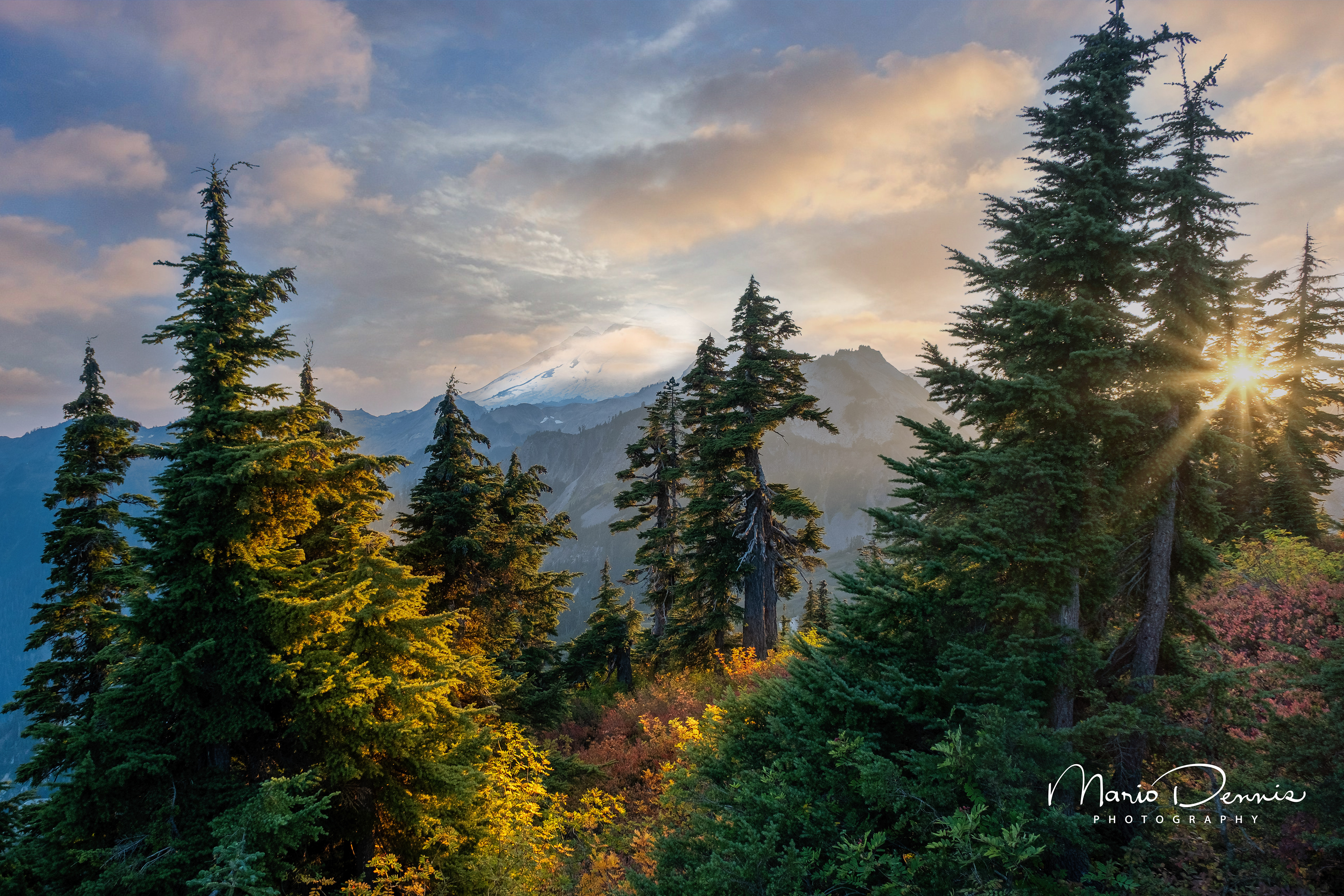 Mt. Baker, Northern Cascades, WA