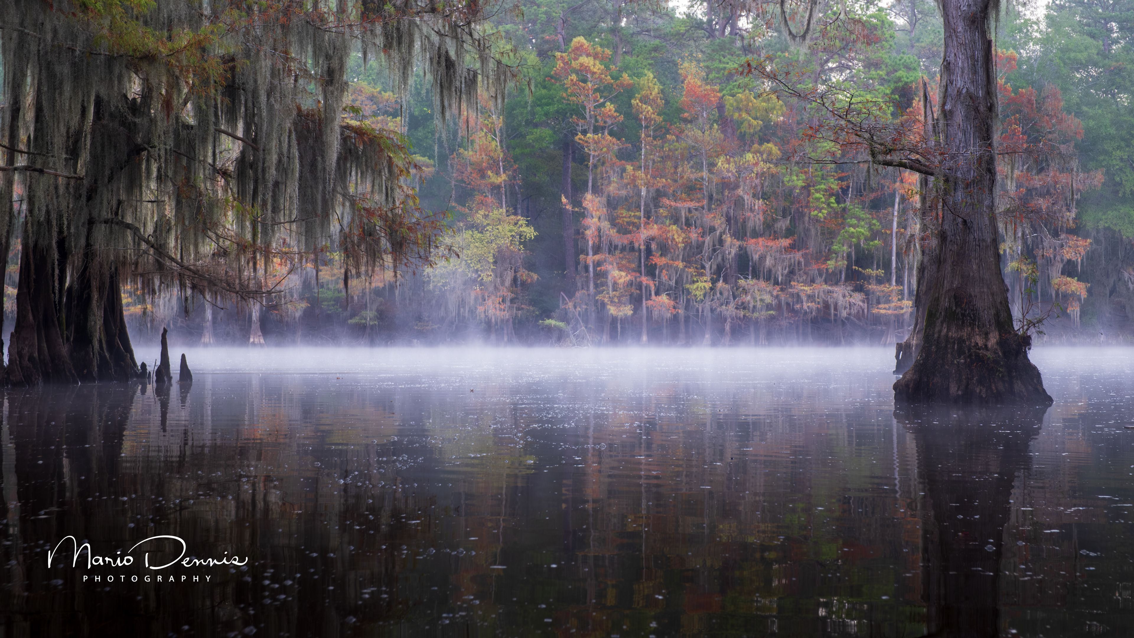 Caddo Lake, TX