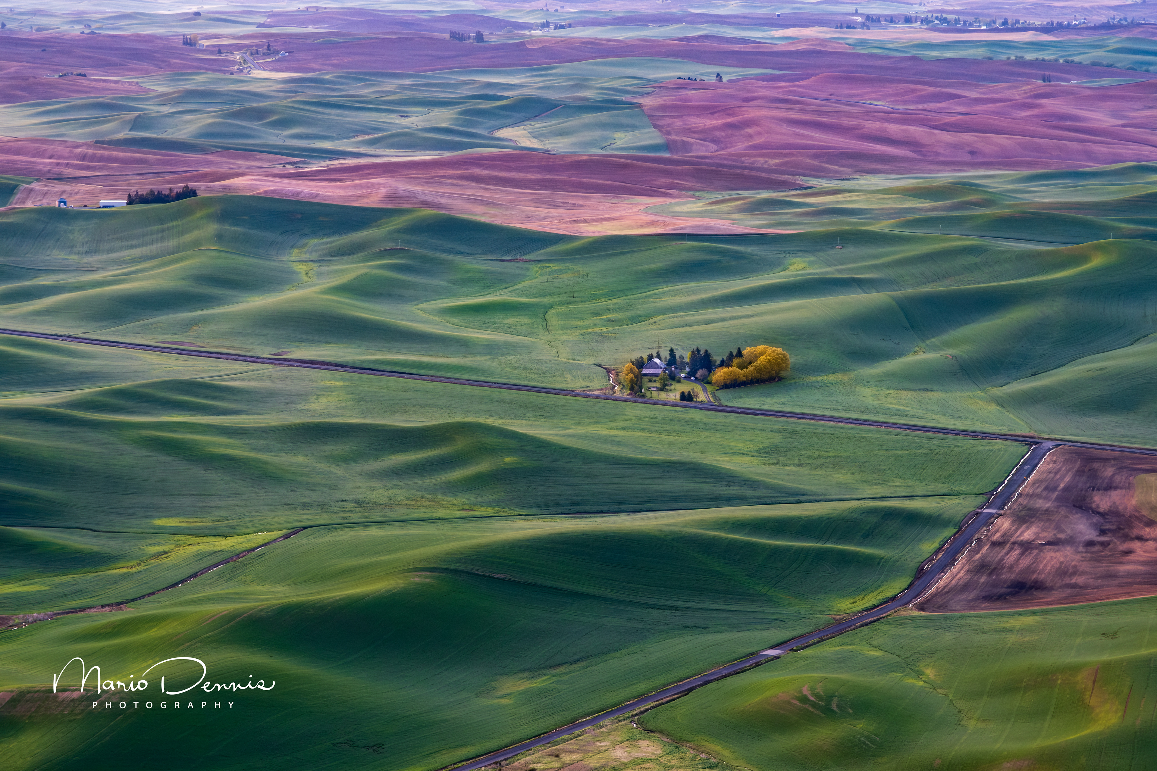 The Palouse from Steptoe Butte, WA