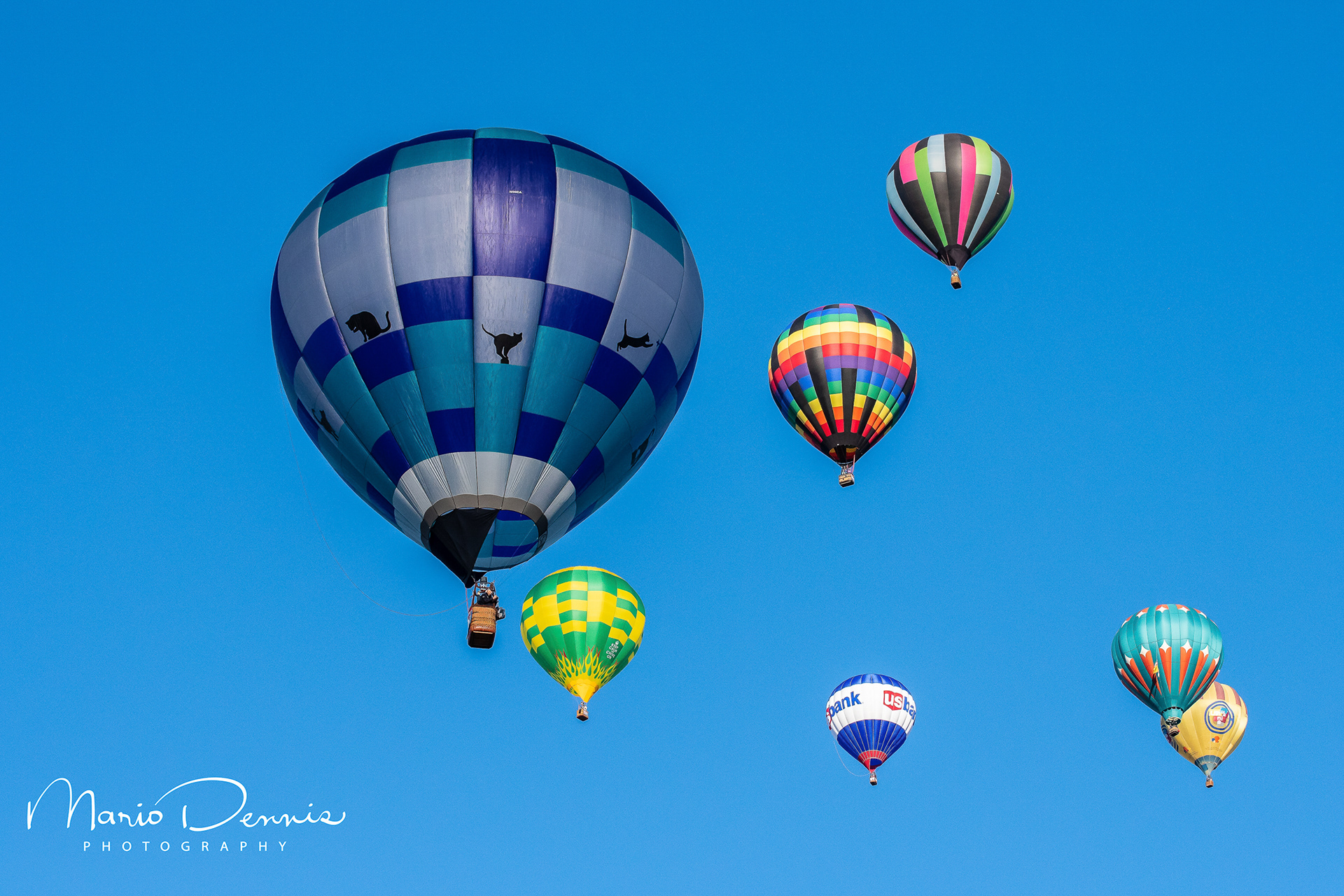 Albuquerque Balloon Festival Liftoffparing for the Dawn Patrol