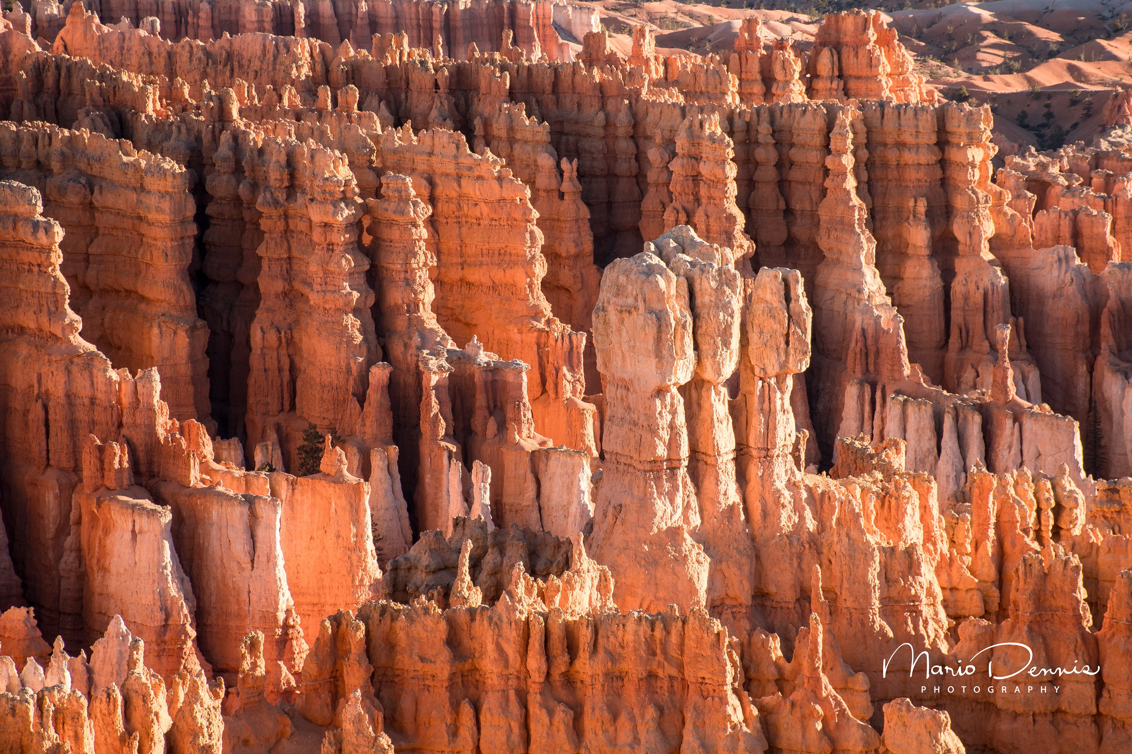 Bryce Canyon NP, UT