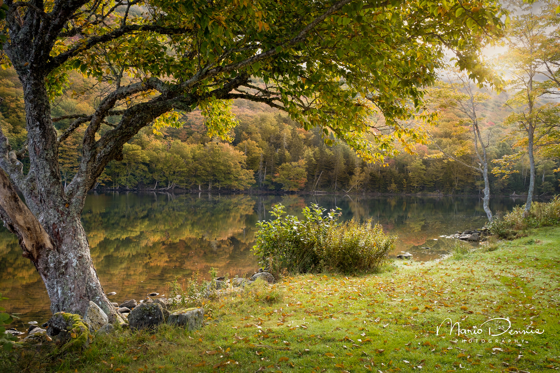 Lake O'Law, Cape Breton, Nova Scotia