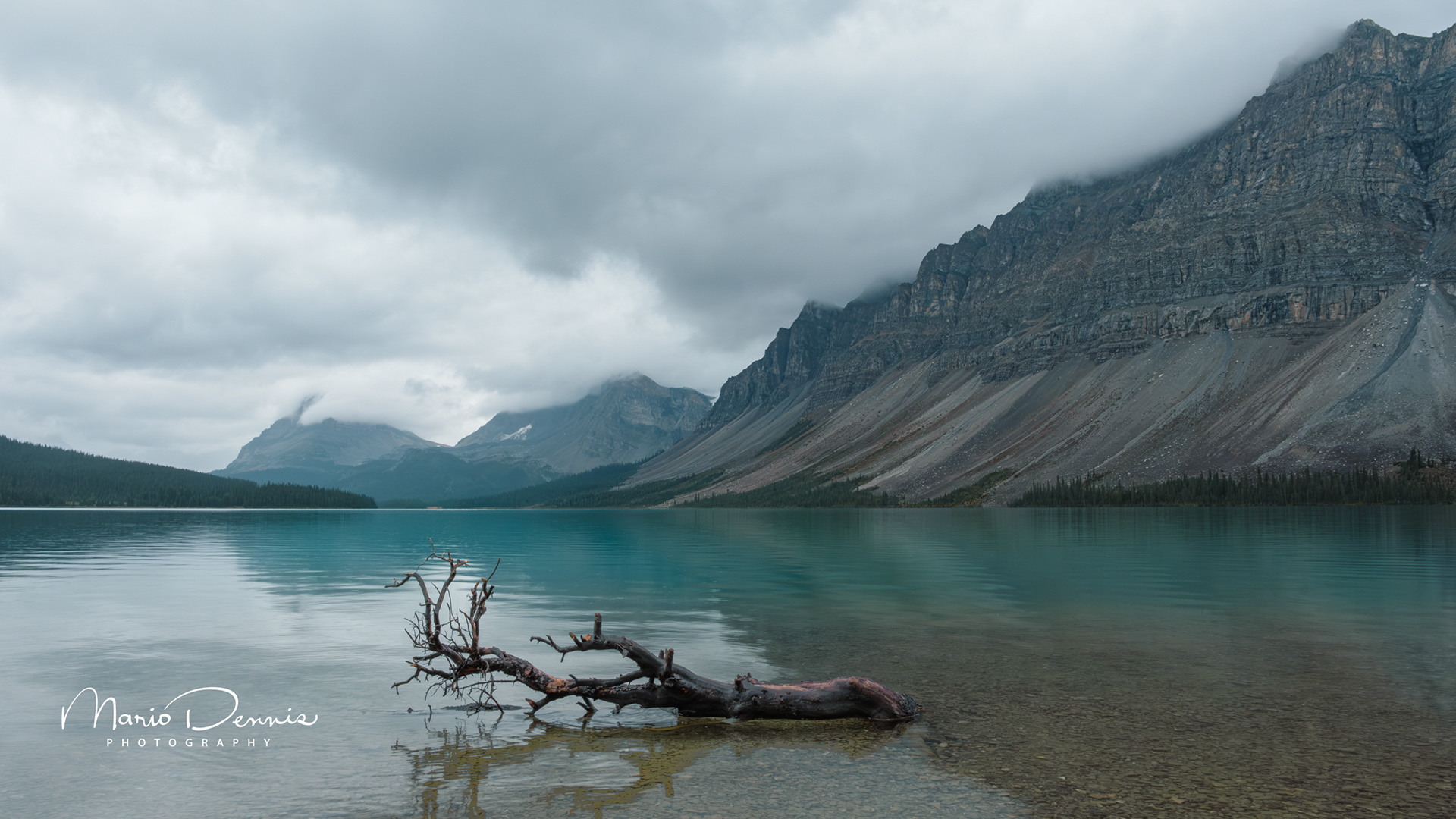Bow Lake, Banff, AB