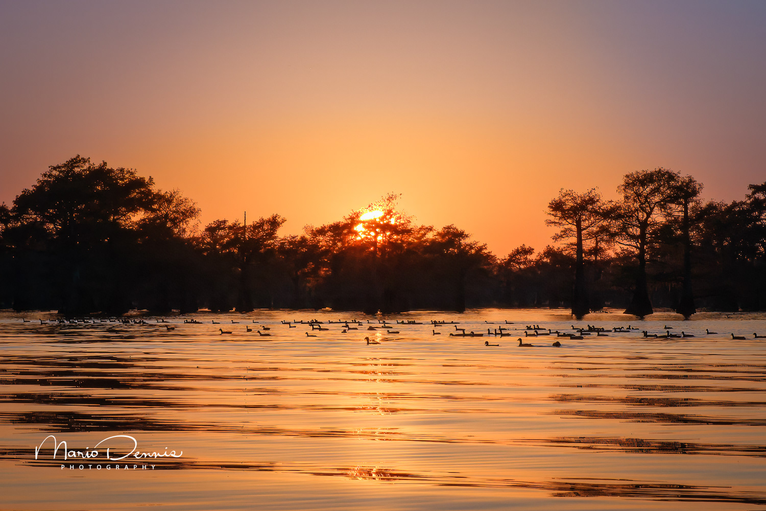 Caddo Lake, TX