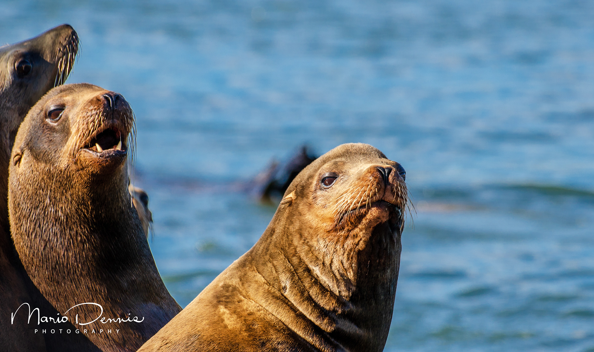 Moss Landing, CA