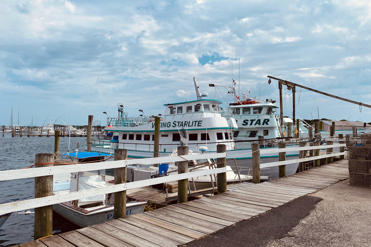 Viking Fleet