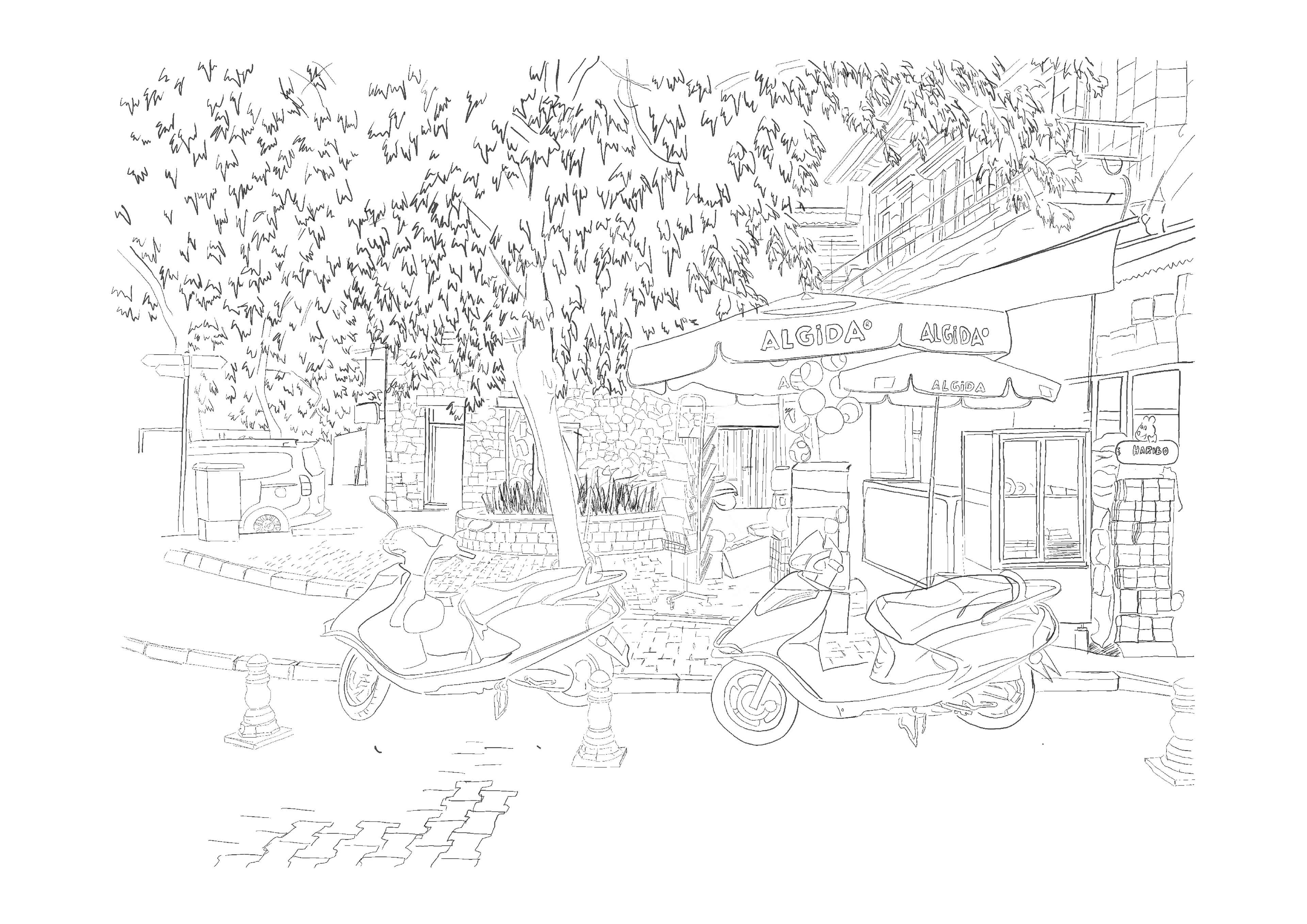 A walk around Muğla Part 01