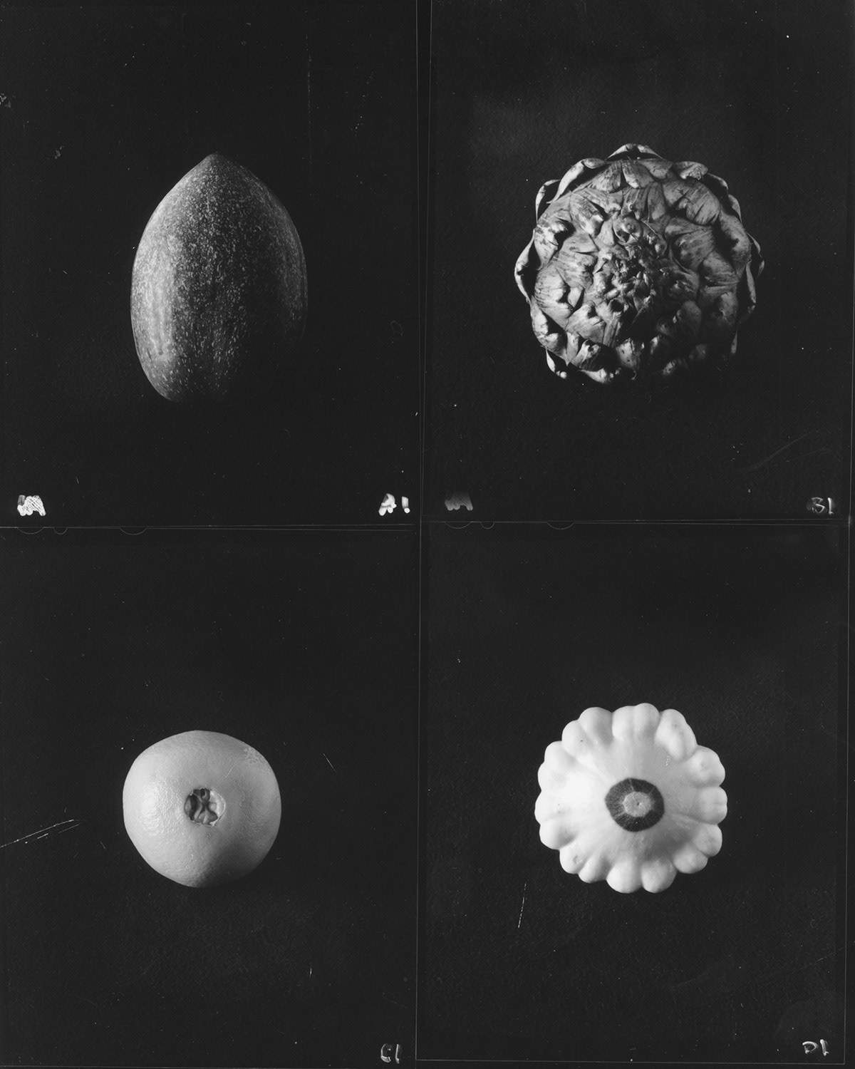 CONTACT PRINTS FROM 4X5 FILM SHEETS