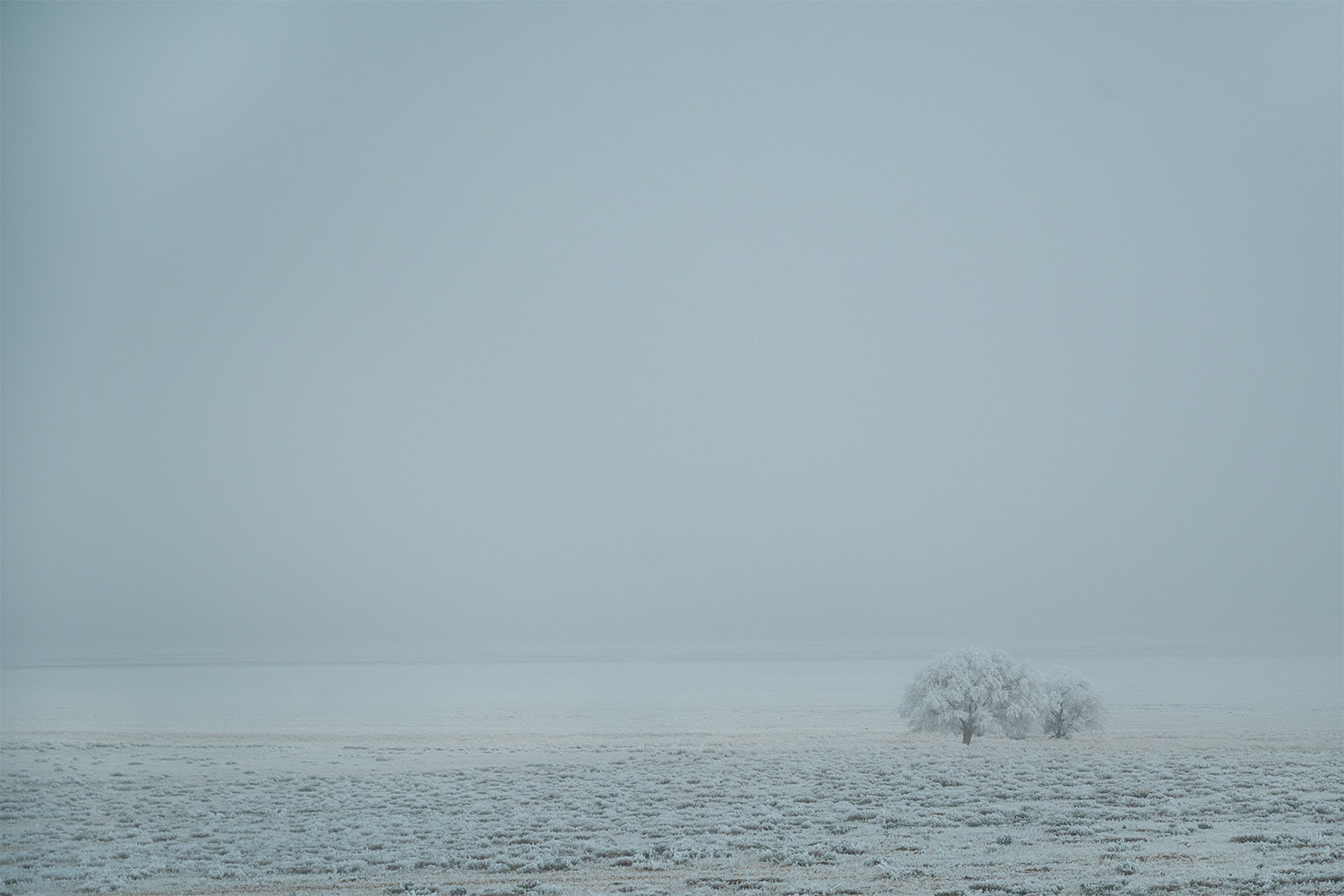 Doyle, CA, US