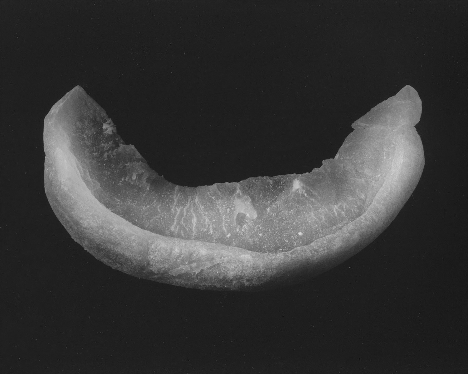 DRIED PEACH SLICE