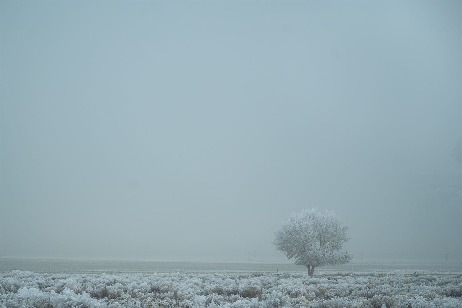Doyle, CA, US