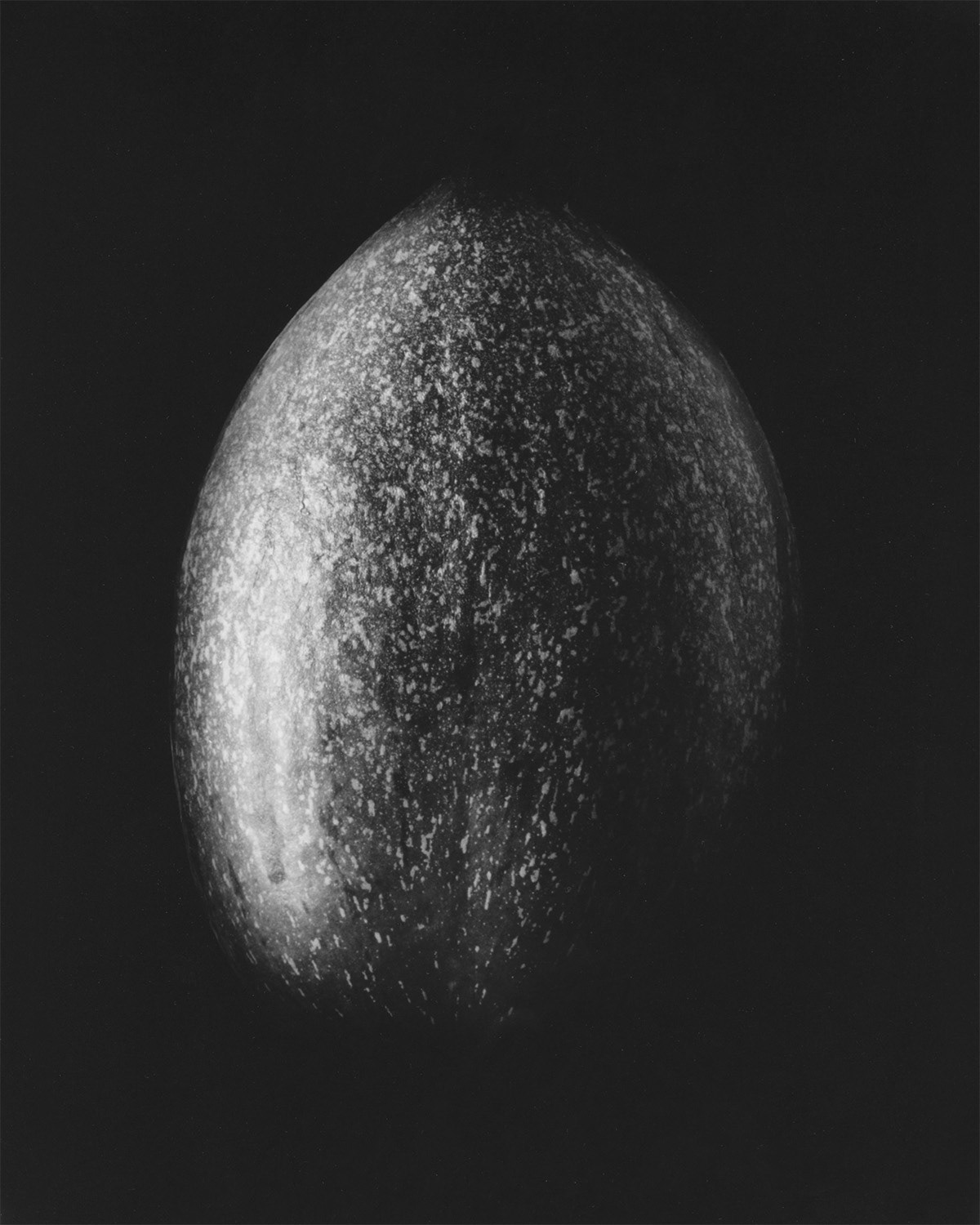 PEPINO MELON | SIDE 1