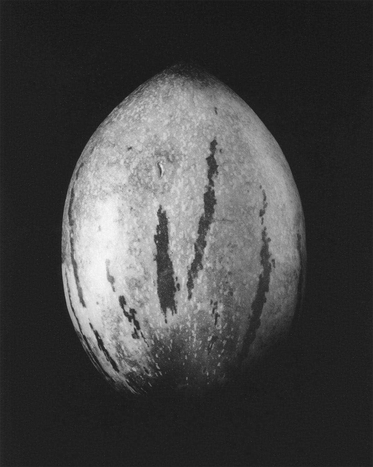 PEPINO MELON | SIDE 2