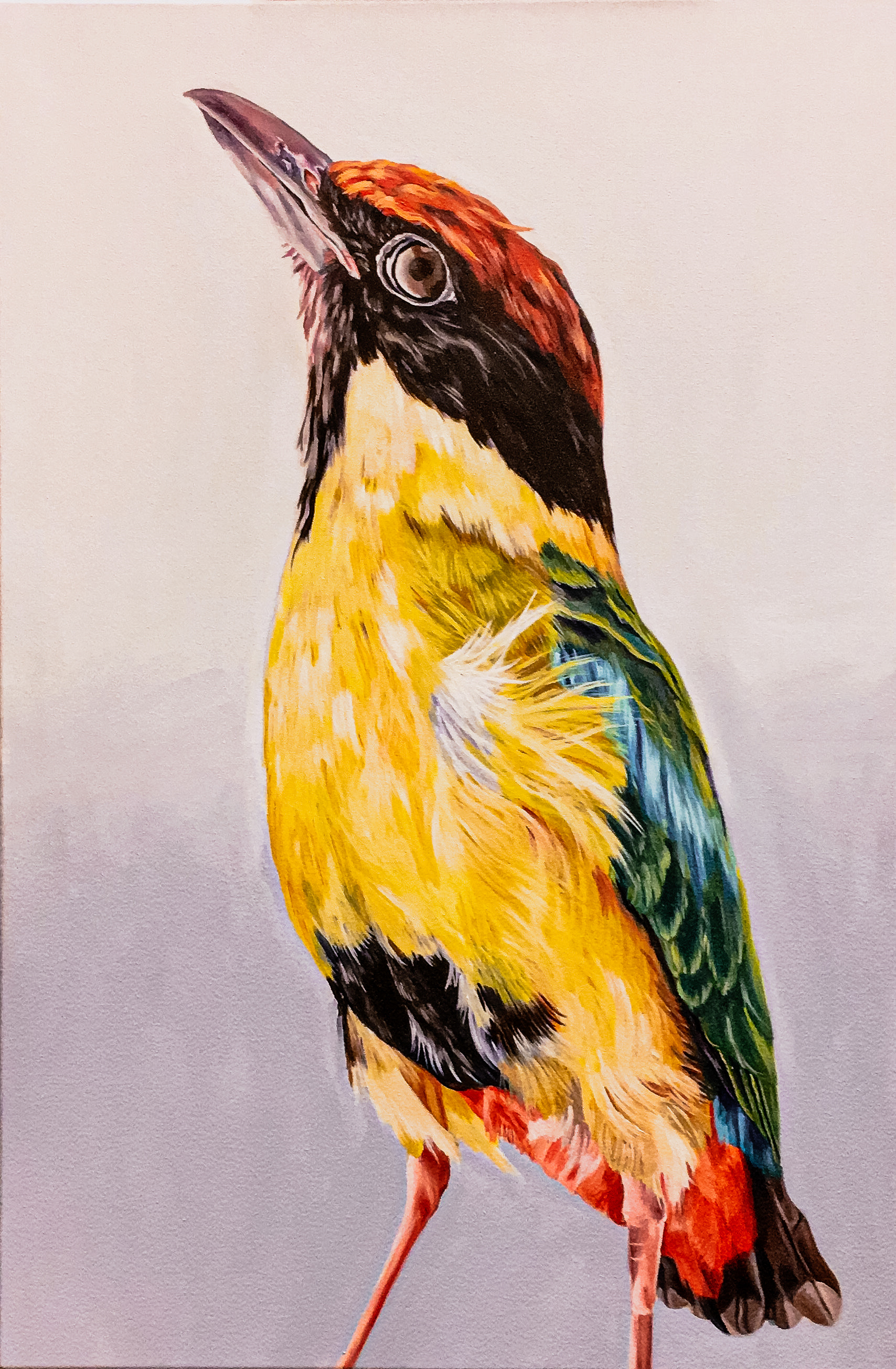 Bird | Oil on Canvas | 2018