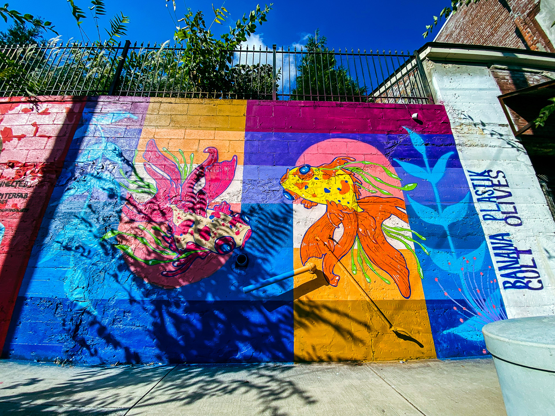 Banana Plastik | Paint Memphis Fest | 2021