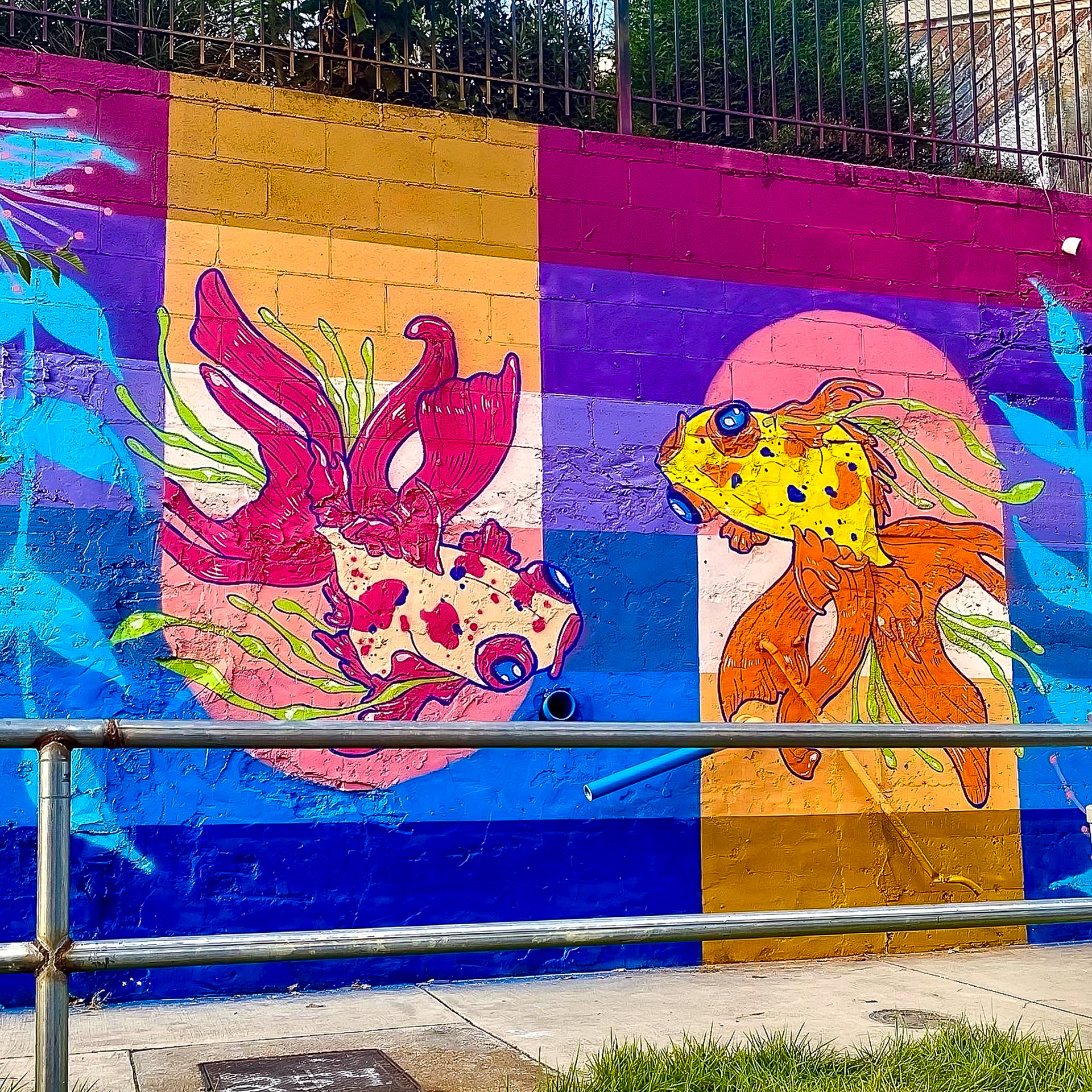 Banana Plastik | Paint Memphis Fest | 2021