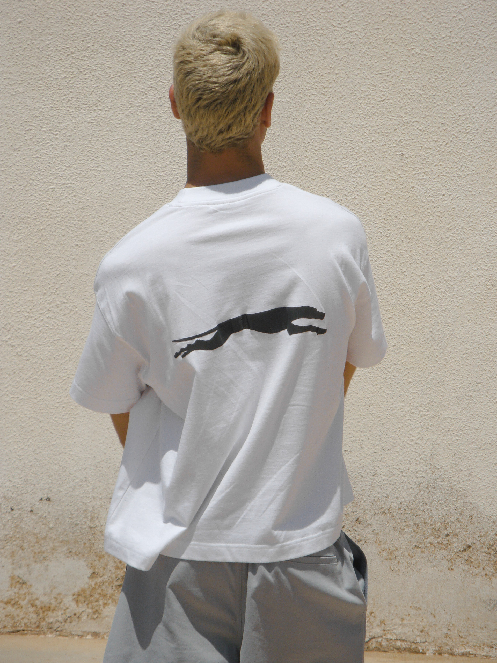 Brother & Kin Hound Tee Back Lifestyle Shot