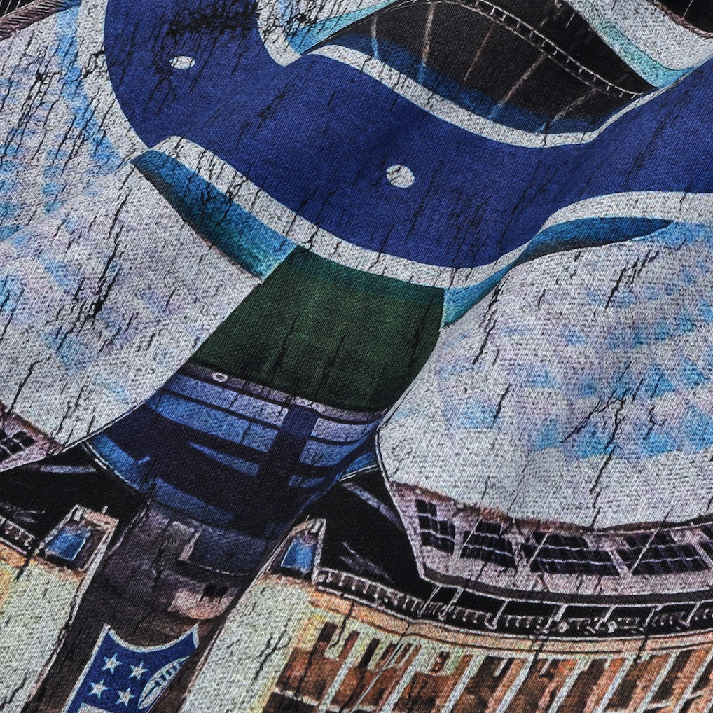 Mitchell & Ness x Colts Stadium Tee zoom in