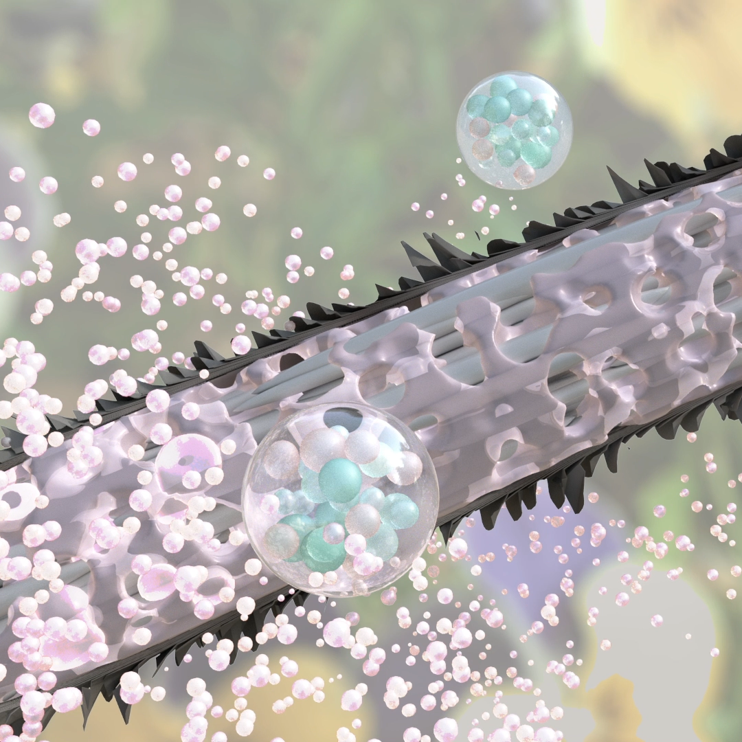 ヘアケア成分が髪の毛内部で働く様子　MOA