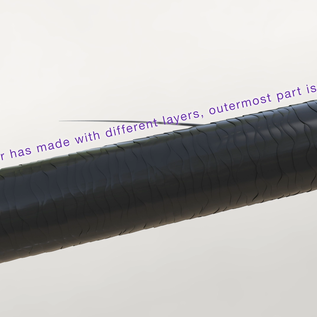 健康な髪の毛の３DCGイメージ