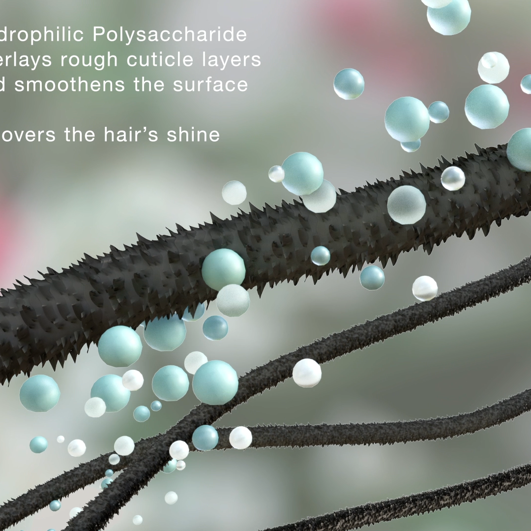 成分別効果イメージ　３DCG